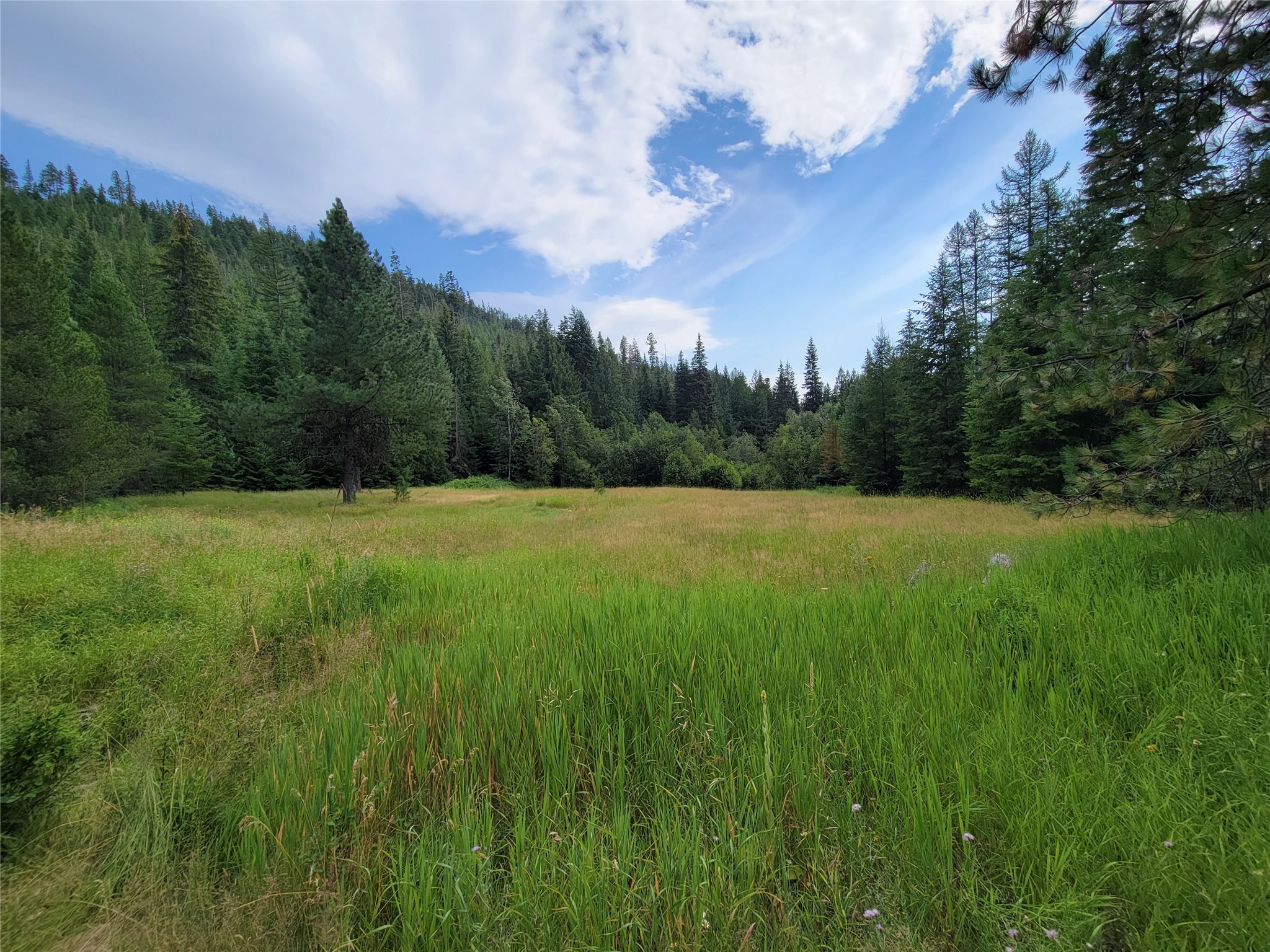 1980 Rabbit Creek Road Property Photo 1