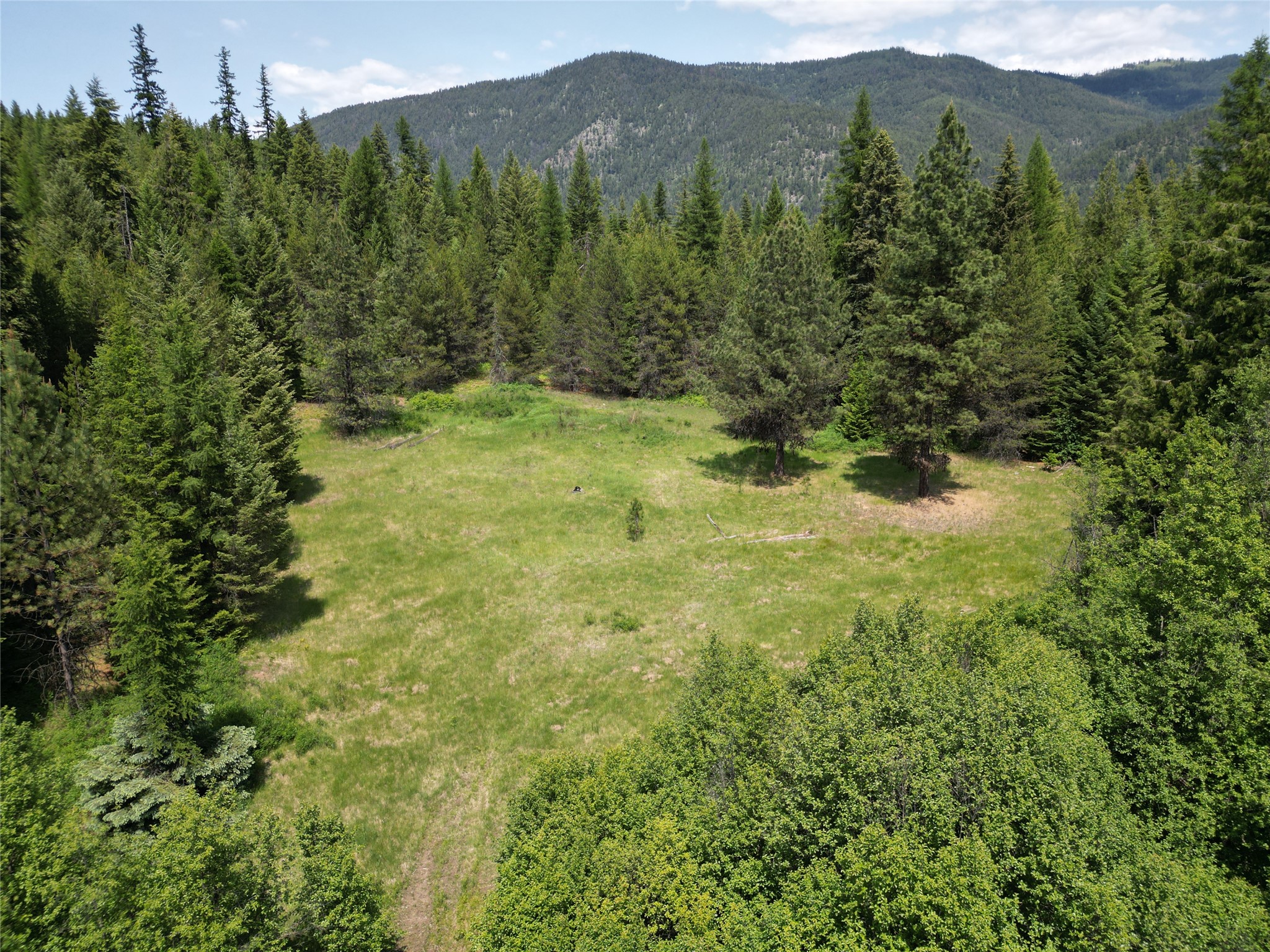1980 Rabbit Creek Road Property Photo 4