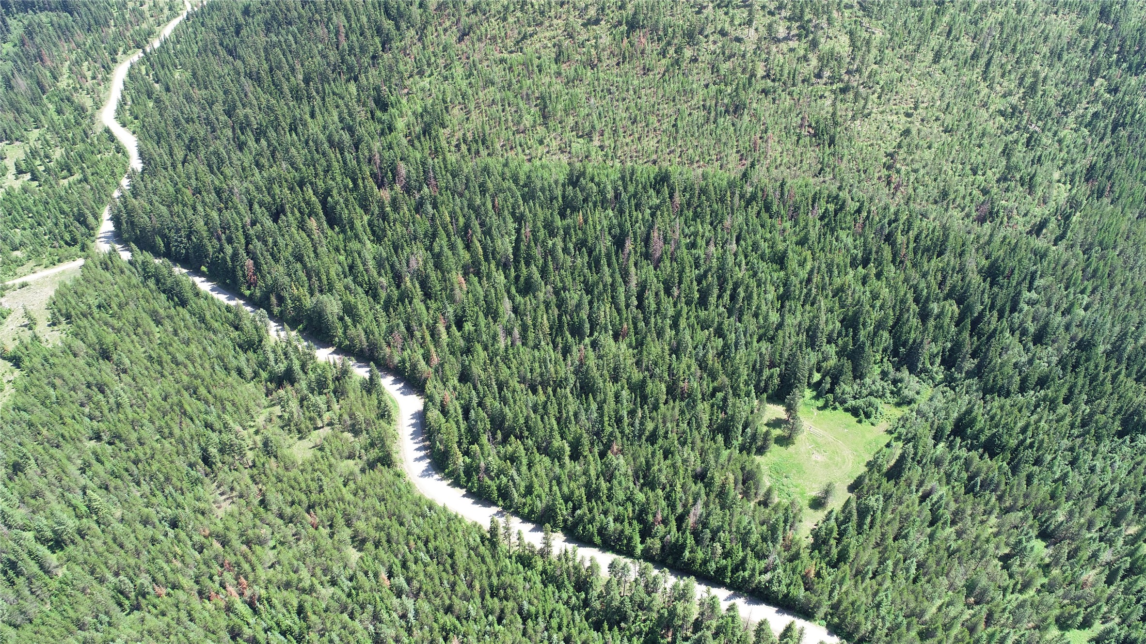 1980 Rabbit Creek Road Property Photo 5