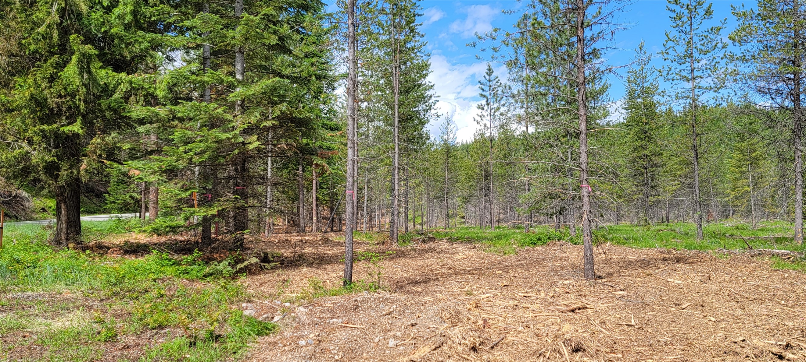 1980 Rabbit Creek Road Property Photo 13