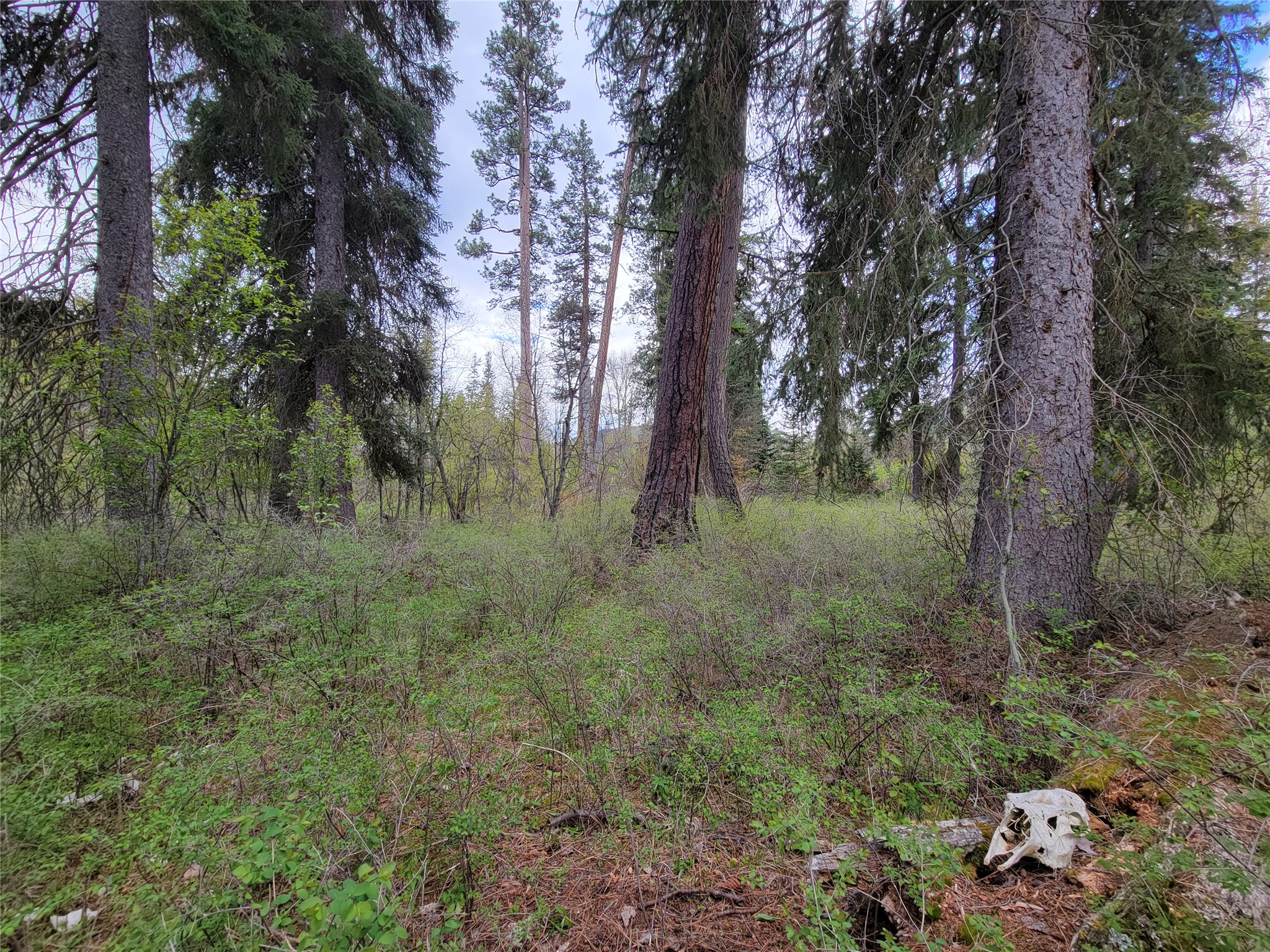 57021 Us Highway 2 Property Photo 8