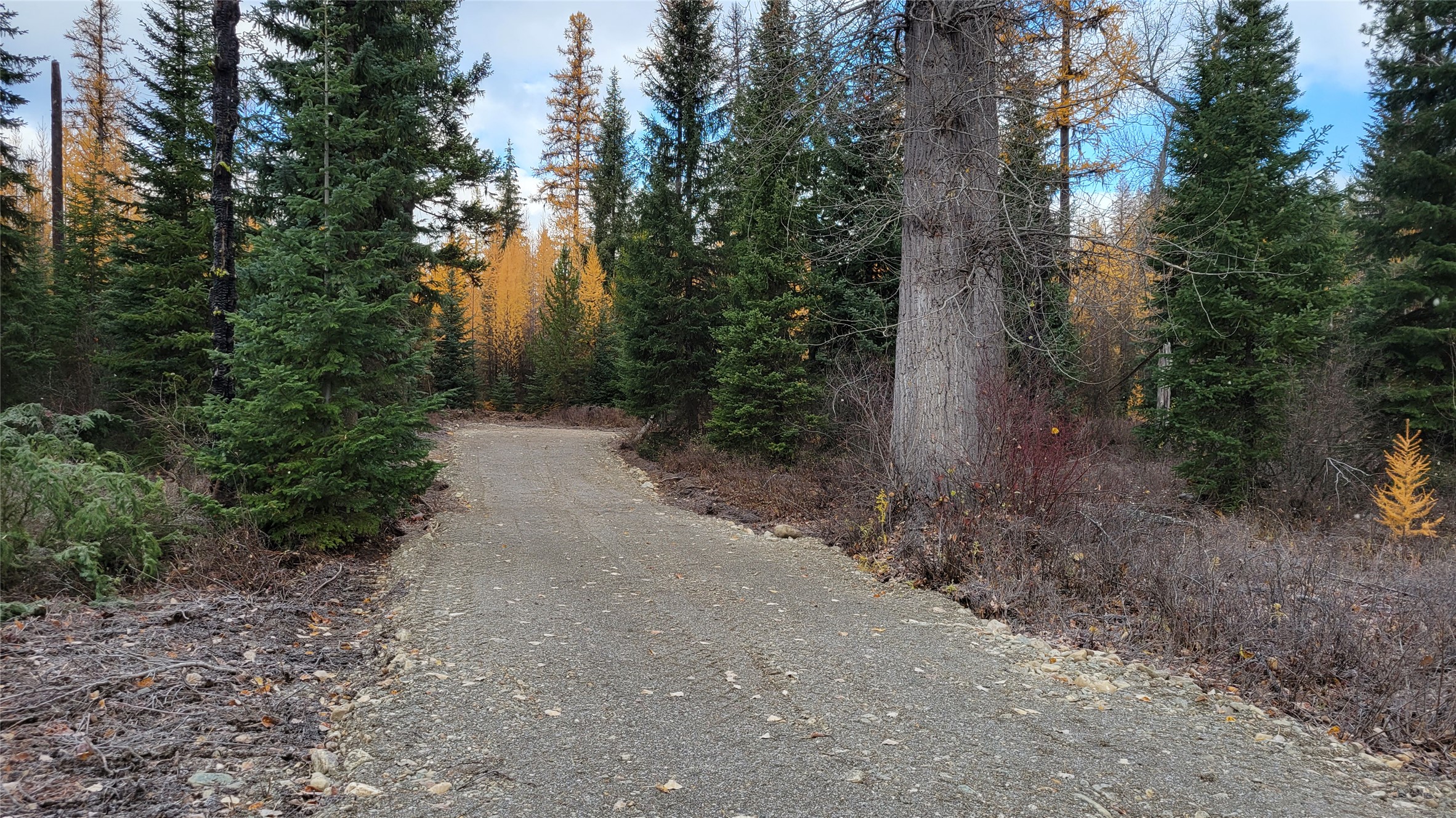 57021 Us Highway 2 Property Photo 9
