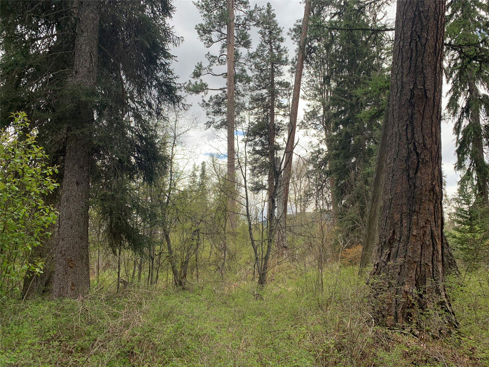 57021 Us Highway 2 Property Photo 16