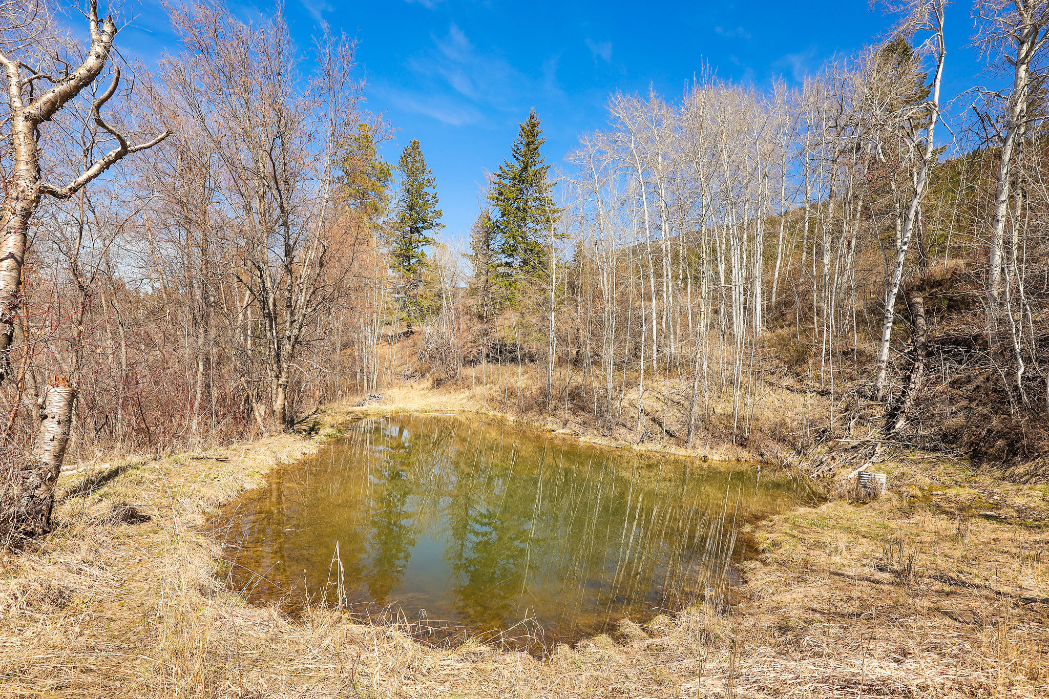 784 Pluid Road Property Photo 7