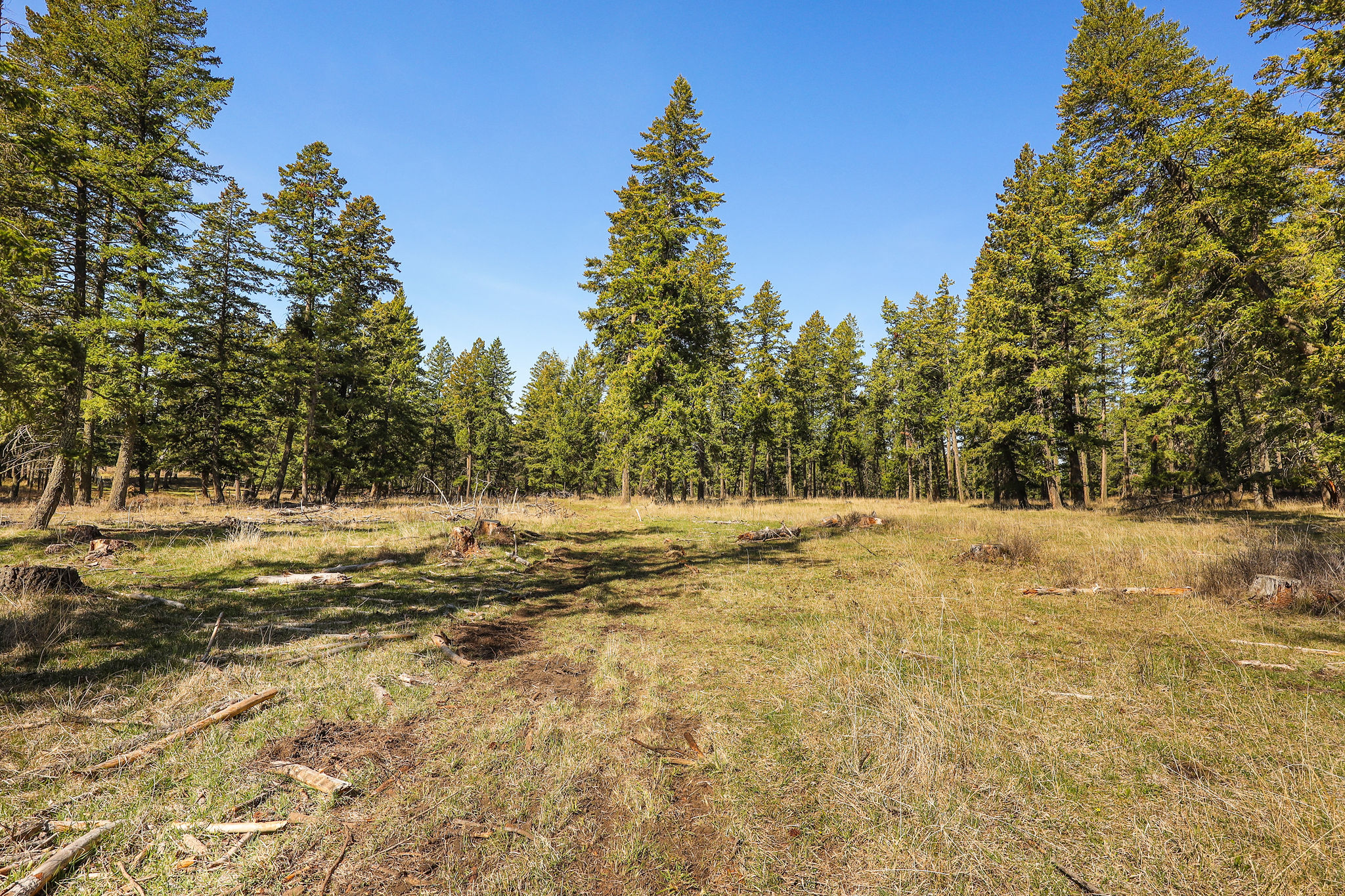 784 Pluid Road Property Photo 22