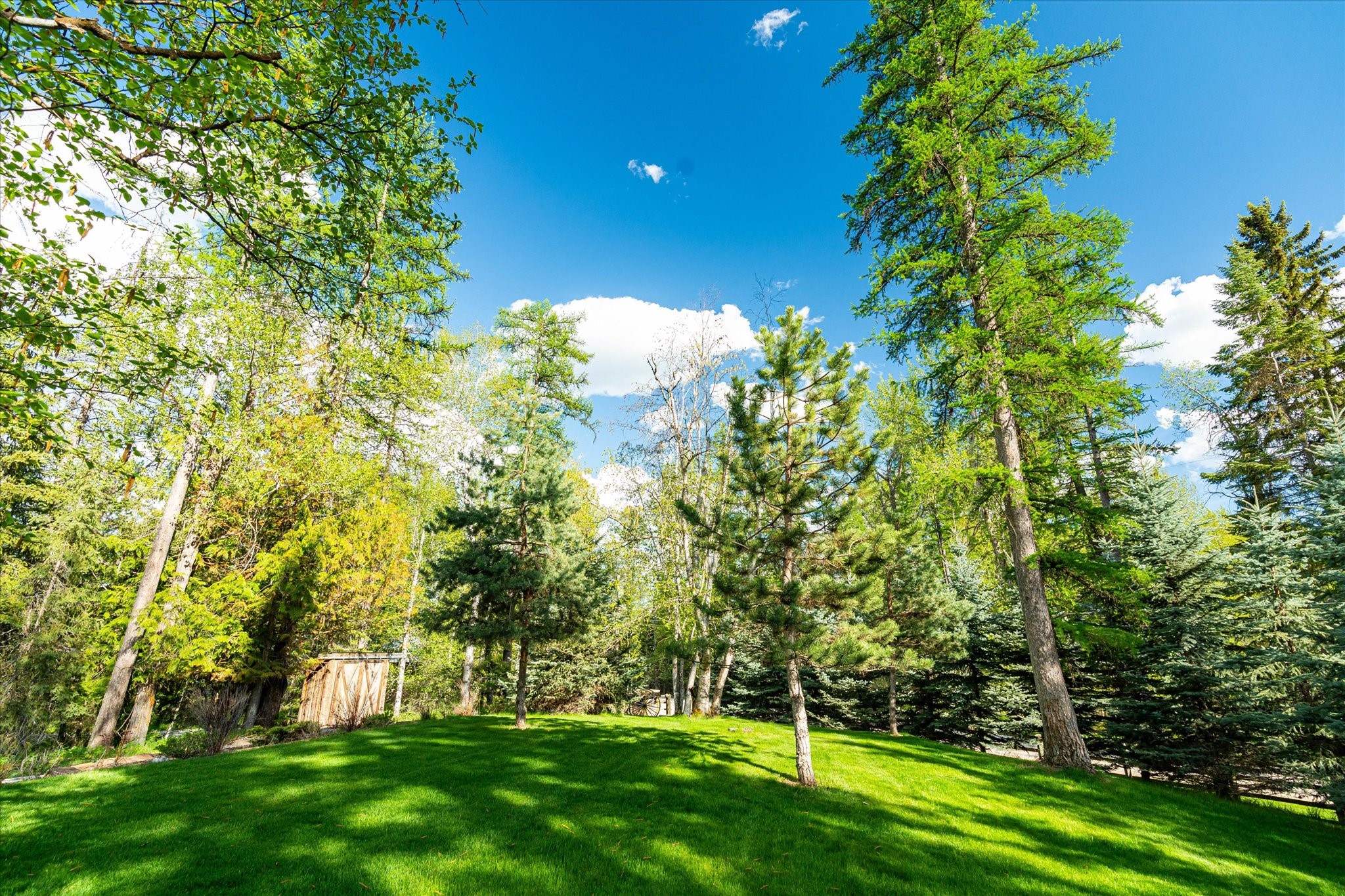2130 Lion Mountain Road Property Photo 82
