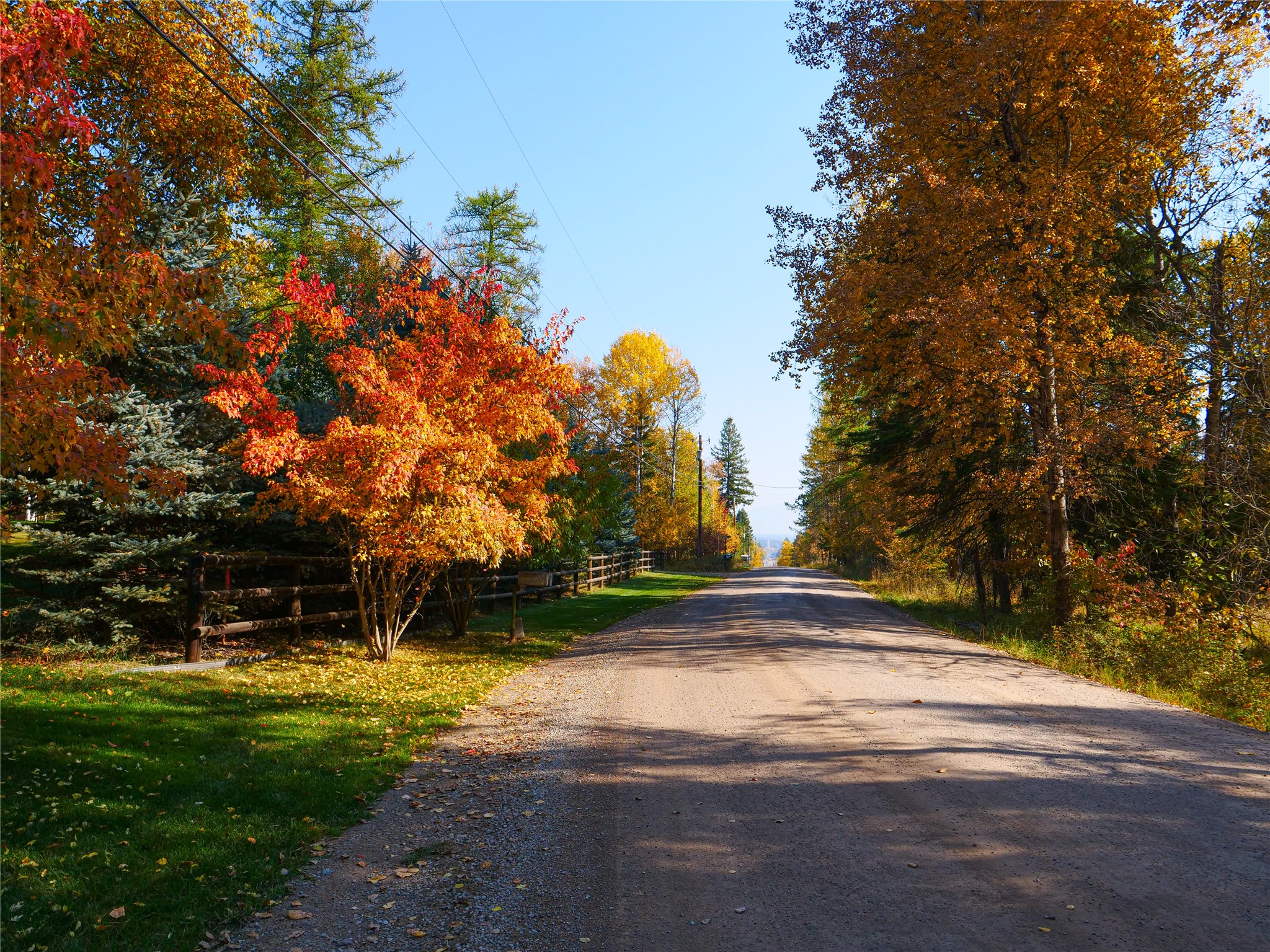 2130 Lion Mountain Road Property Photo 6