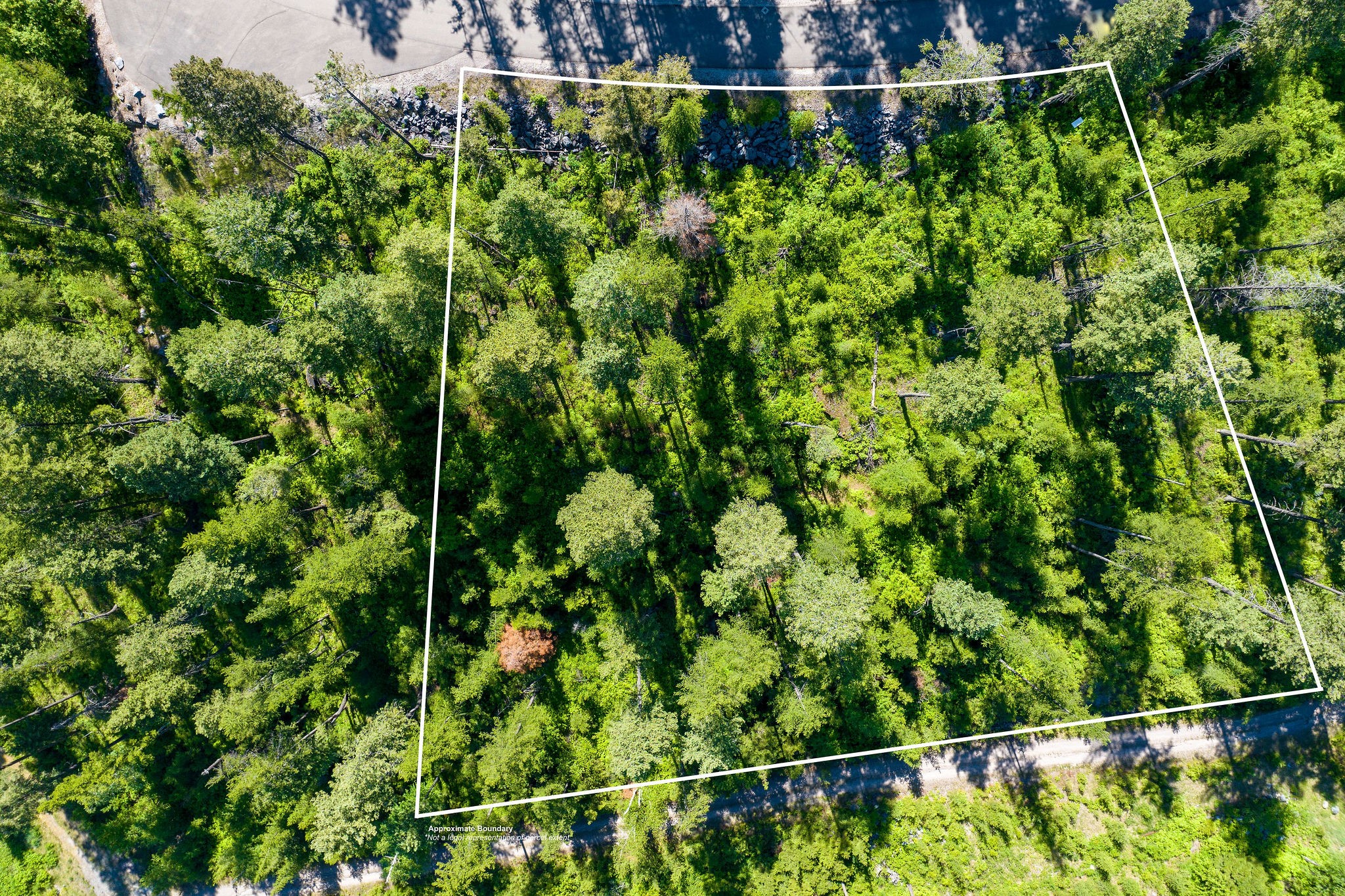 173 Timberjack Trail Property Photo 32