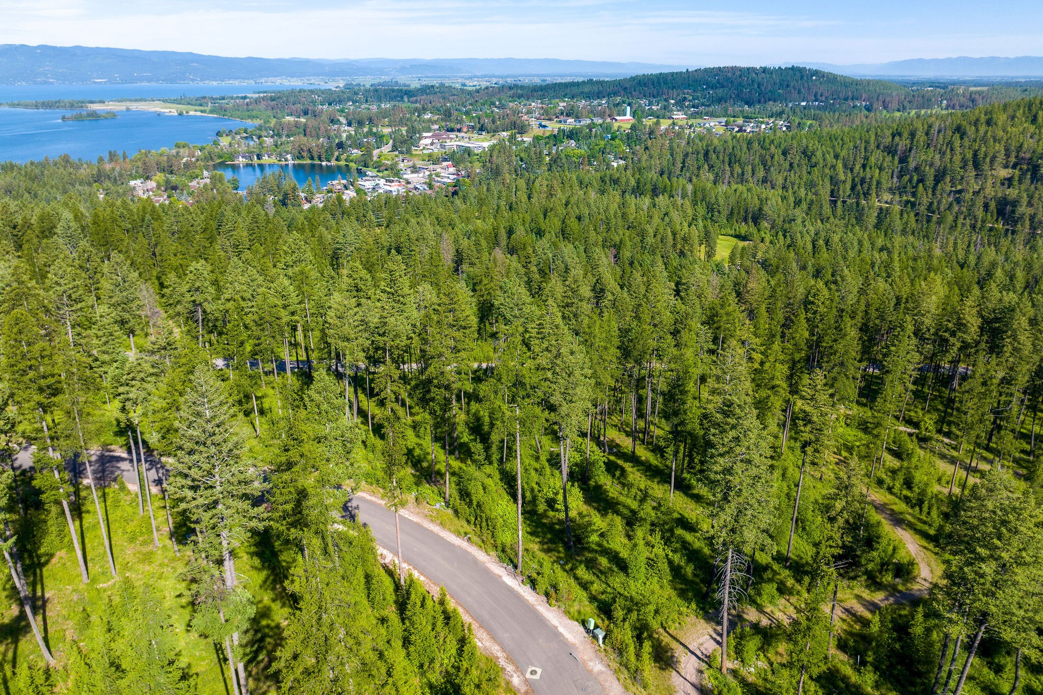 198 Trading Post Trail Property Photo 12