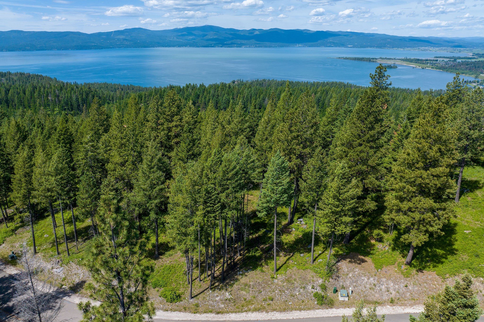 345 Chief Cliff Trail Property Photo 9