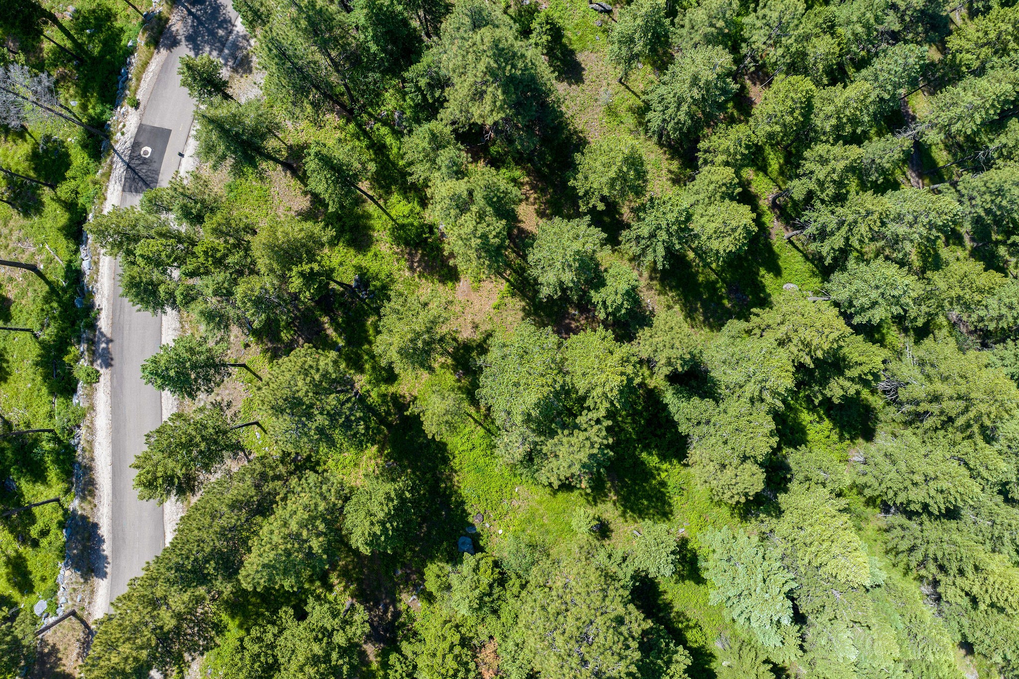 345 Chief Cliff Trail Property Photo 11