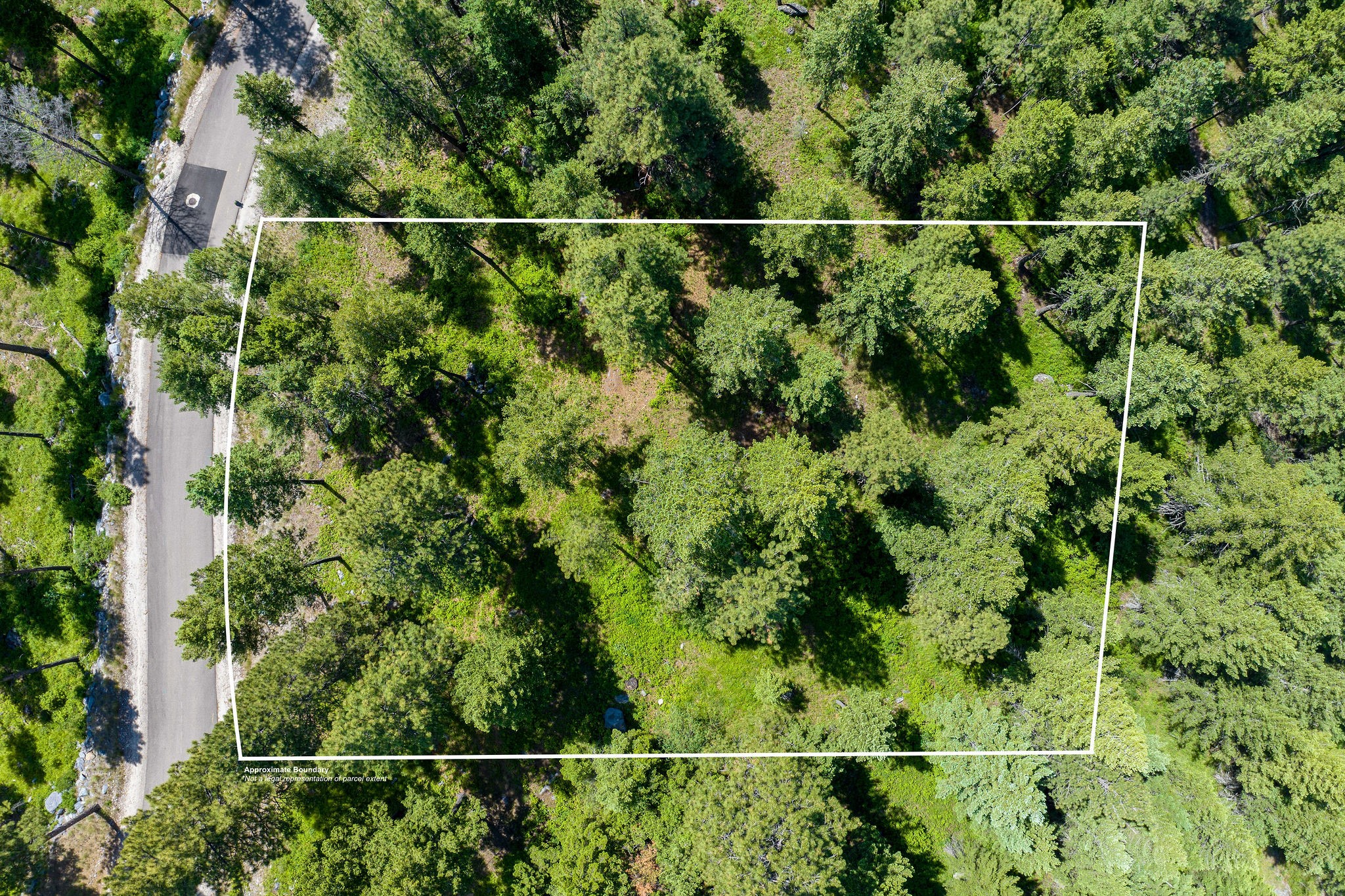 345 Chief Cliff Trail Property Photo 12