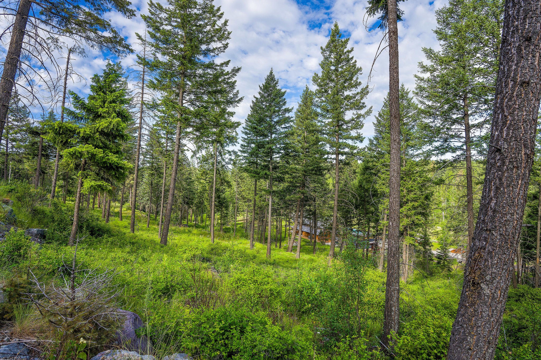 16 Bridle Court Property Photo 3