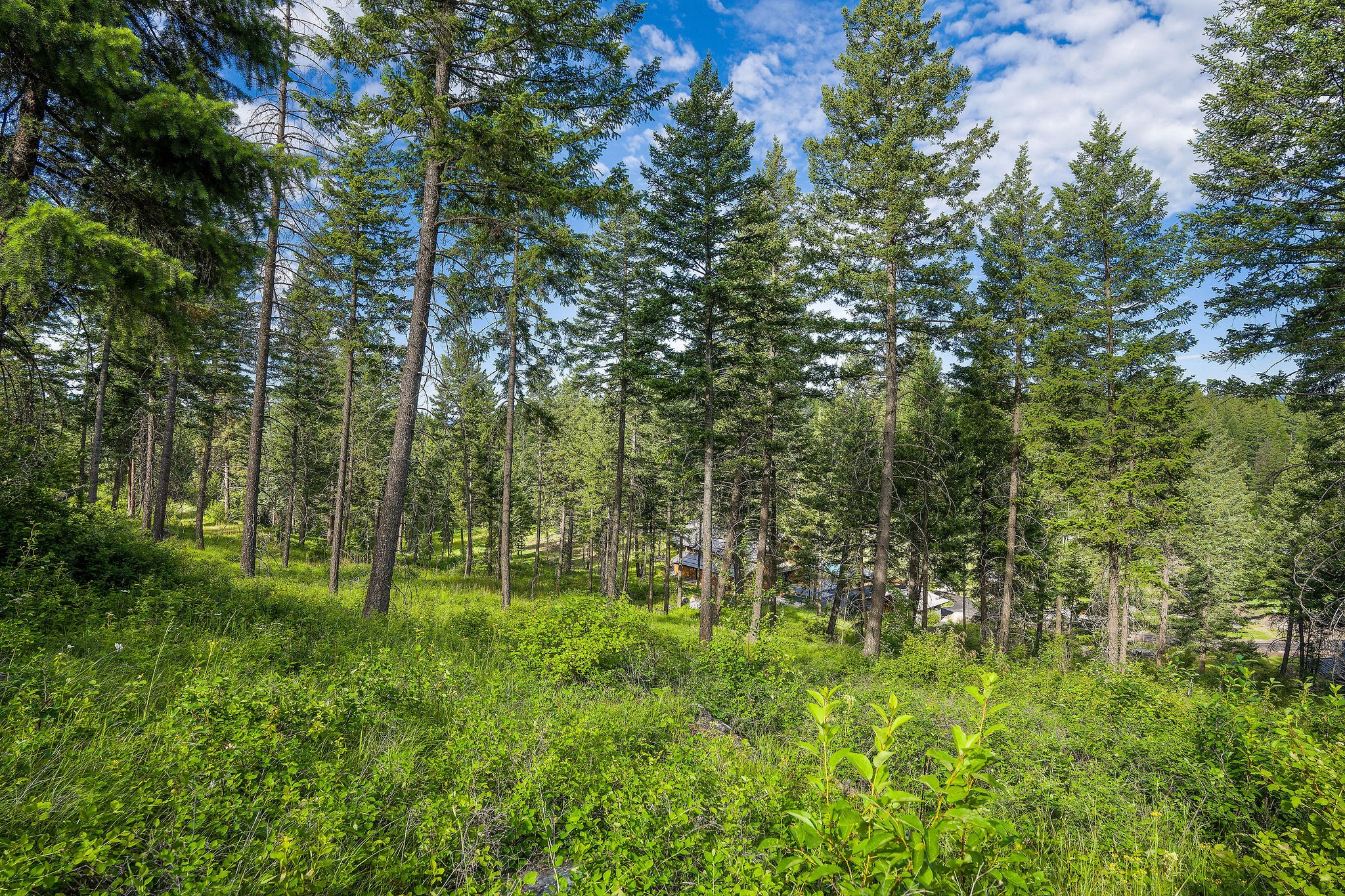 16 Bridle Court Property Photo 6