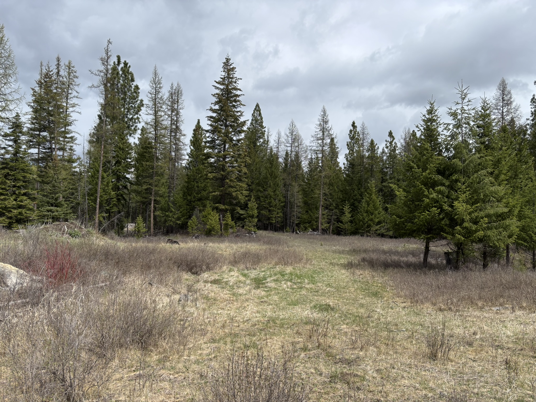 52 Haskill Ranch Road Lot-3 Property Photo 1