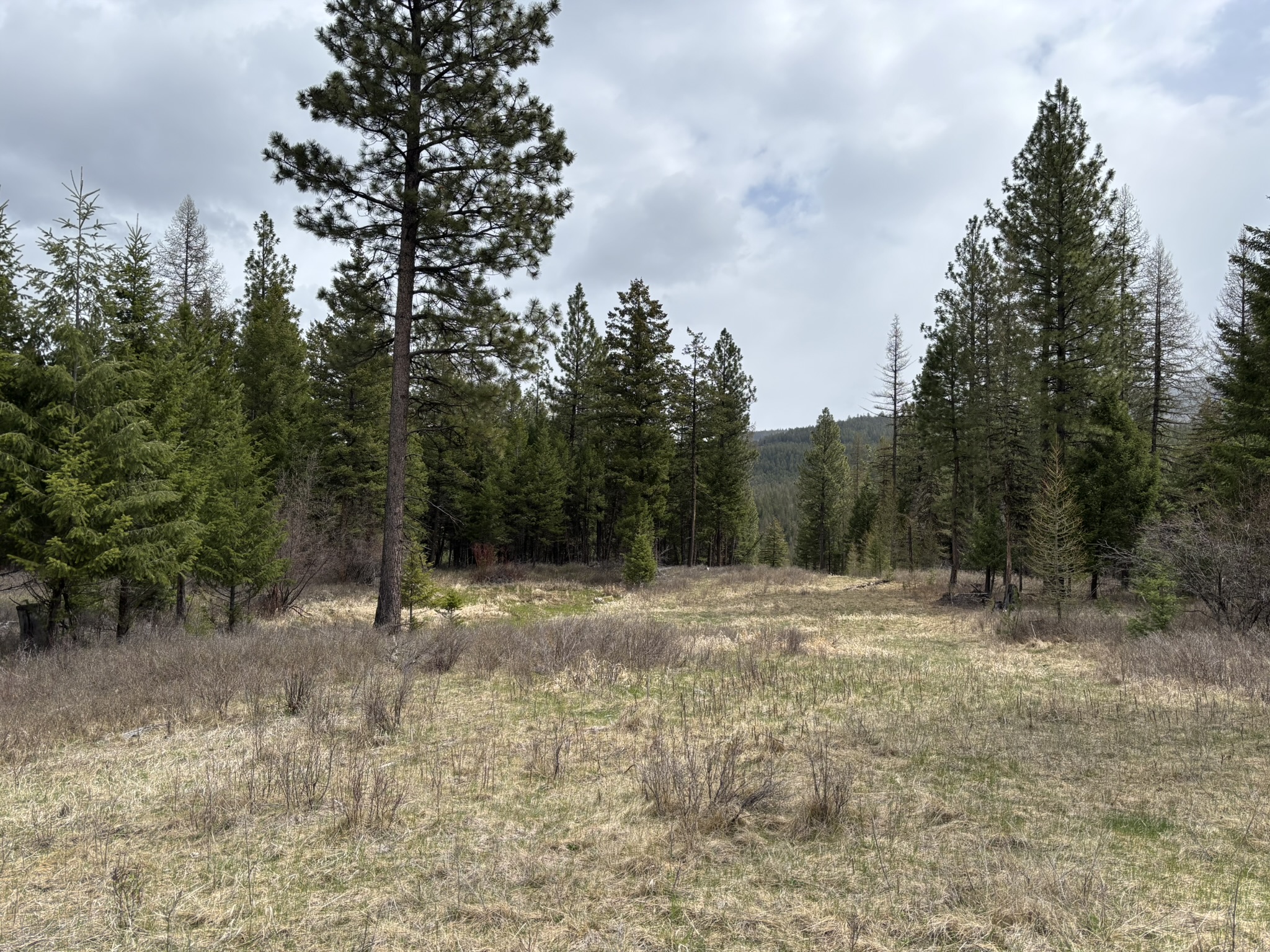 52 Haskill Ranch Road Lot-3 Property Photo 3