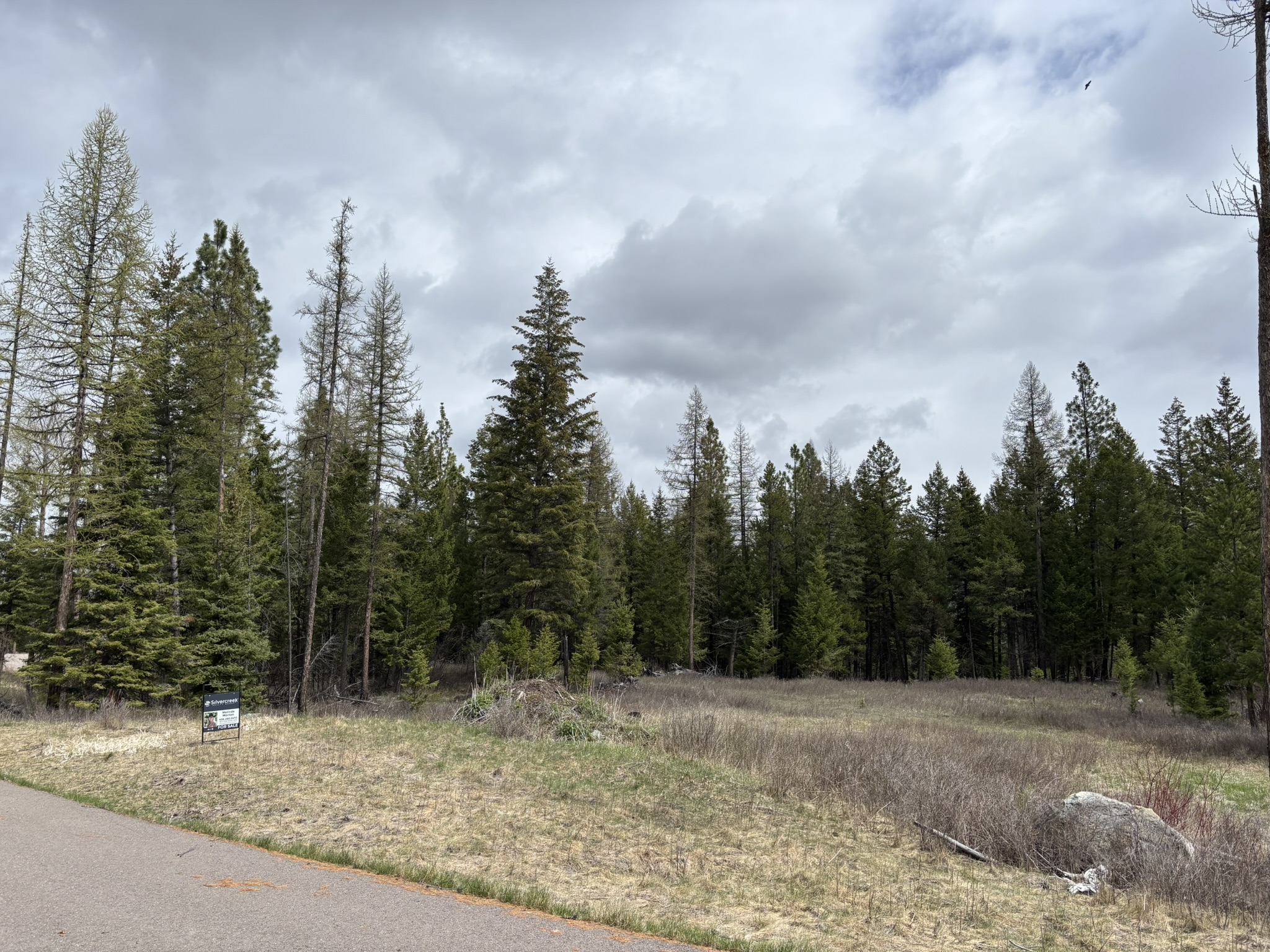 52 Haskill Ranch Road Lot-3 Property Photo 4