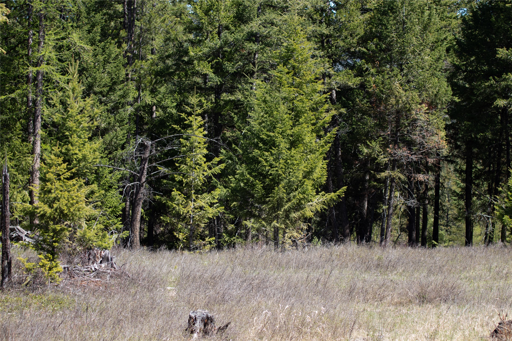 52 Haskill Ranch Road Lot-3 Property Photo 10