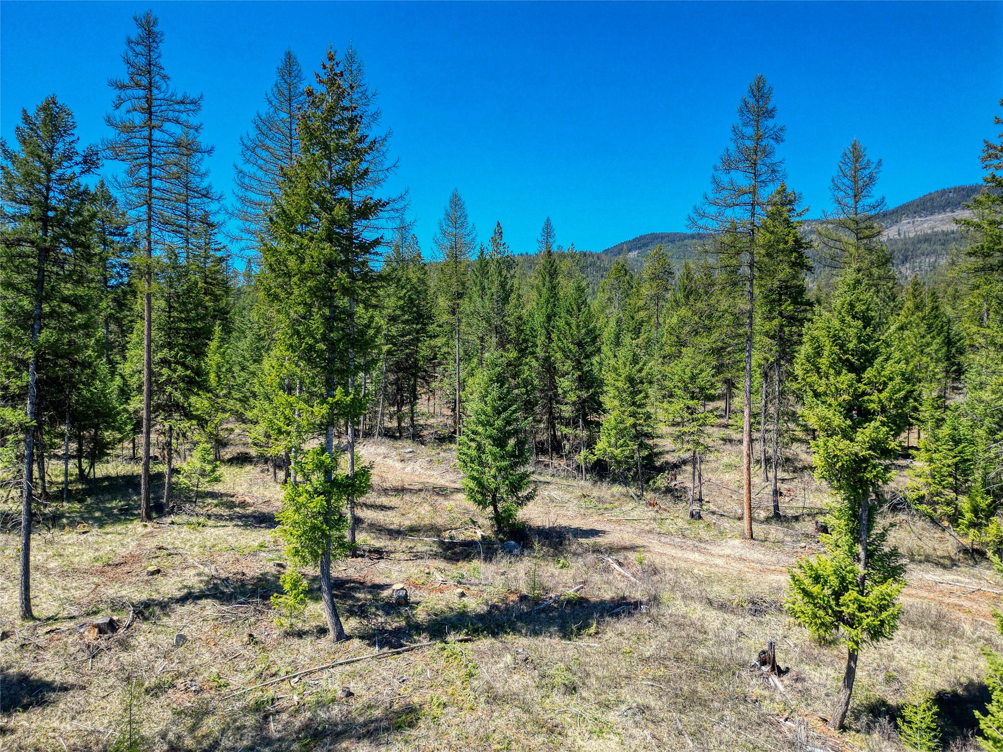 52 Haskill Ranch Road Lot-3 Property Photo 12