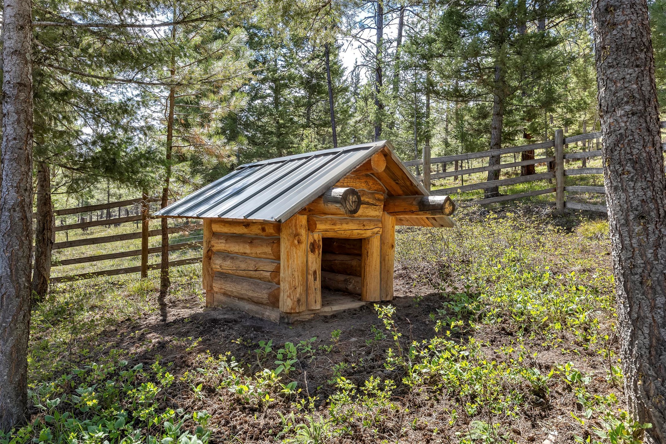 35800 Cat Face Road Property Photo 8