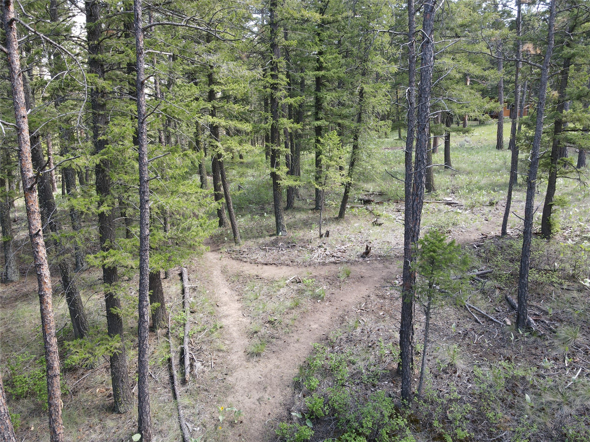 9420 Mormon Creek Road Property Photo 60