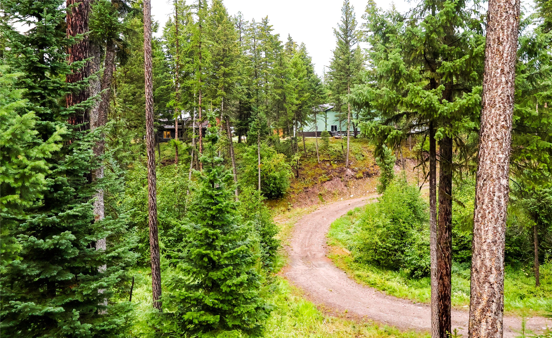 5449 Highway 83 N Property Photo 75