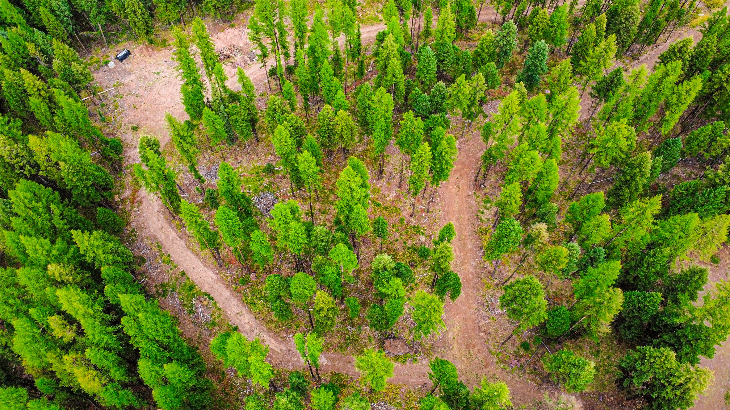 5449 Highway 83 N Property Photo 88