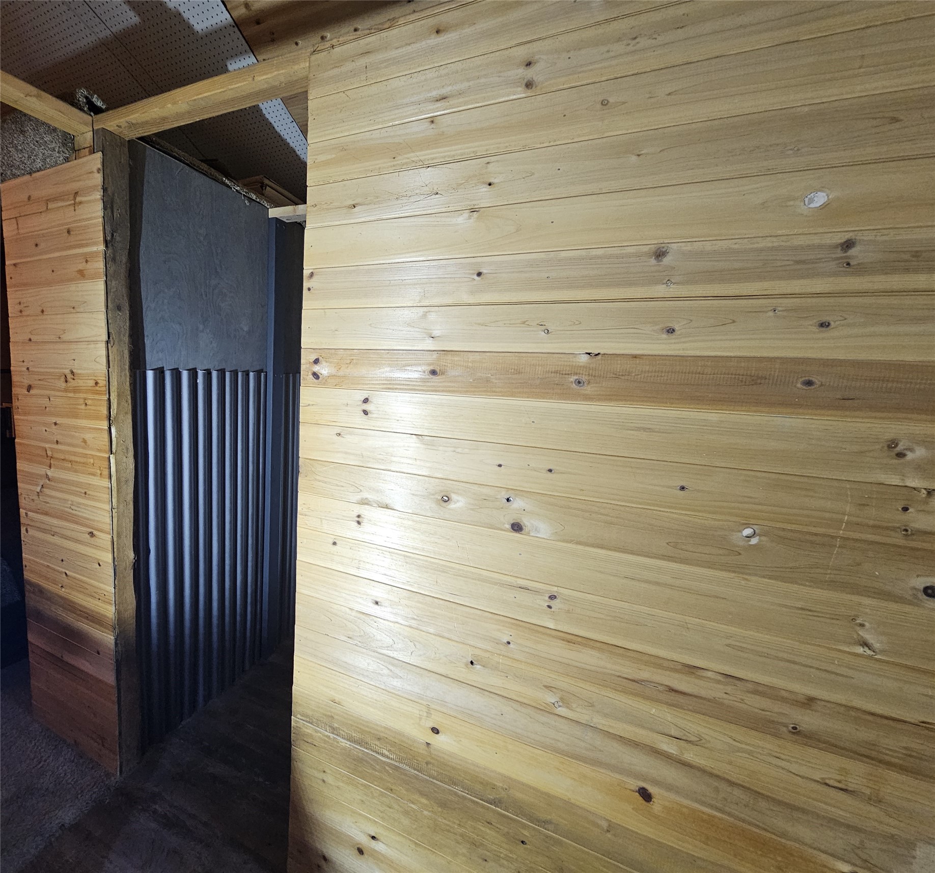 104 Lancer Street Property Photo 11