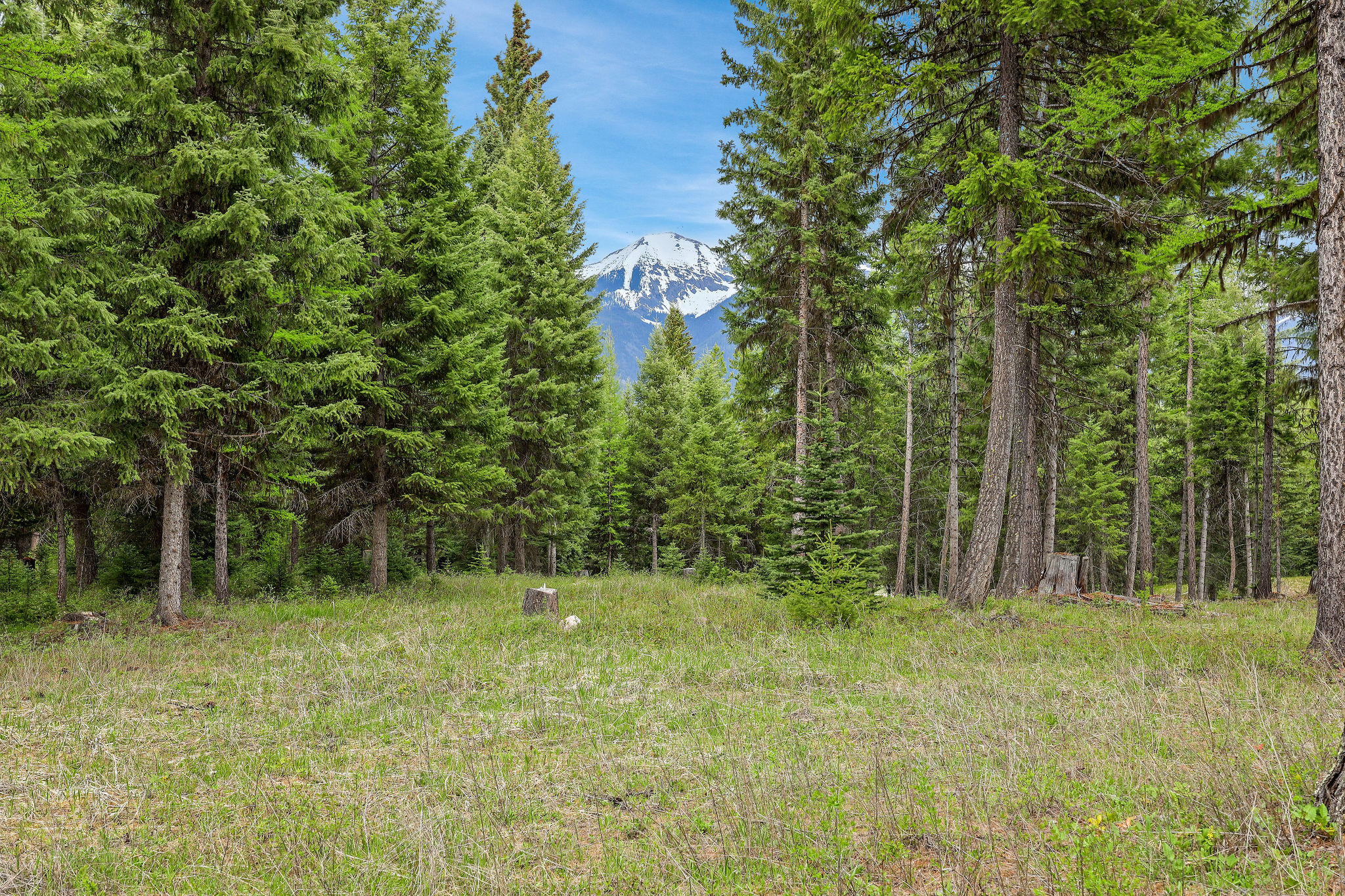 30070151 Property Photo 22