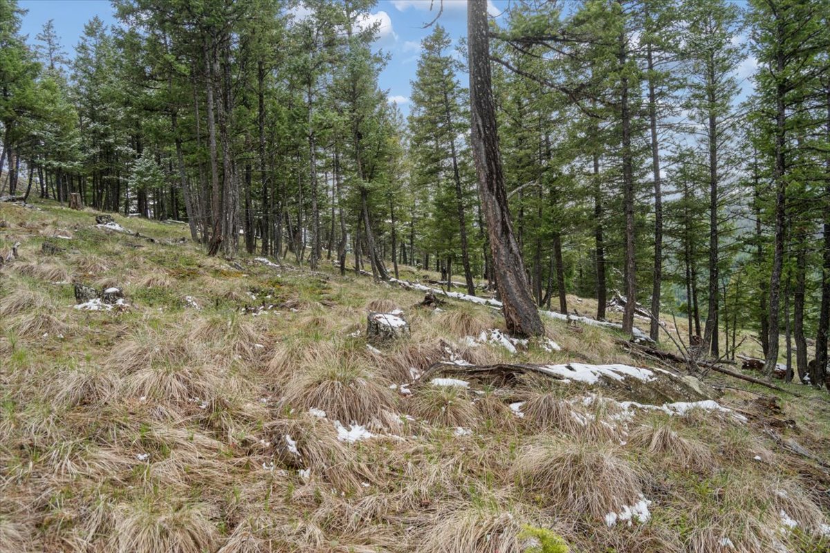 Nhn Elk Ranch Road Property Photo 3
