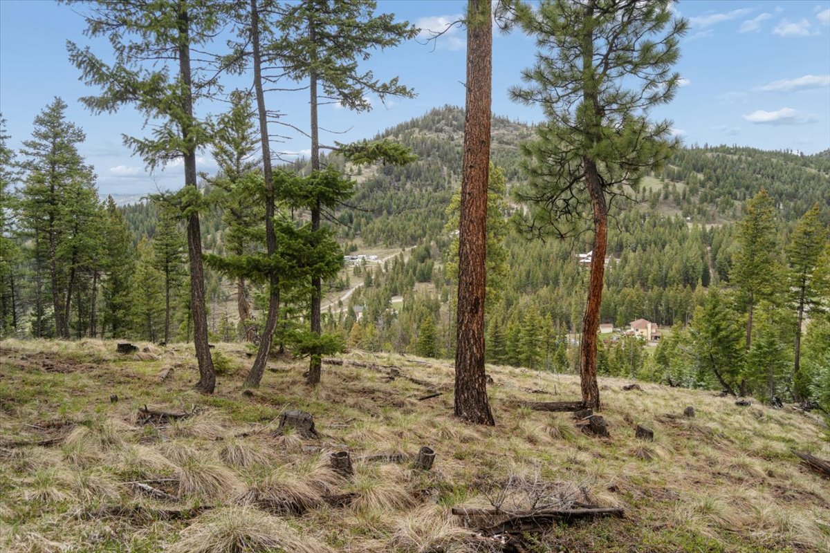 Nhn Elk Ranch Road Property Photo 5