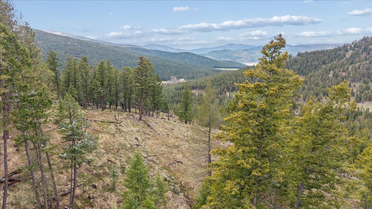 Nhn Elk Ranch Road Property Photo 12