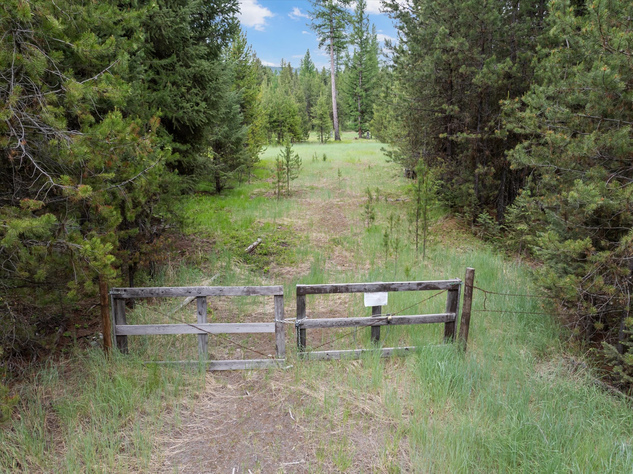 1128 Marion Hubbart Spur Property Photo 40