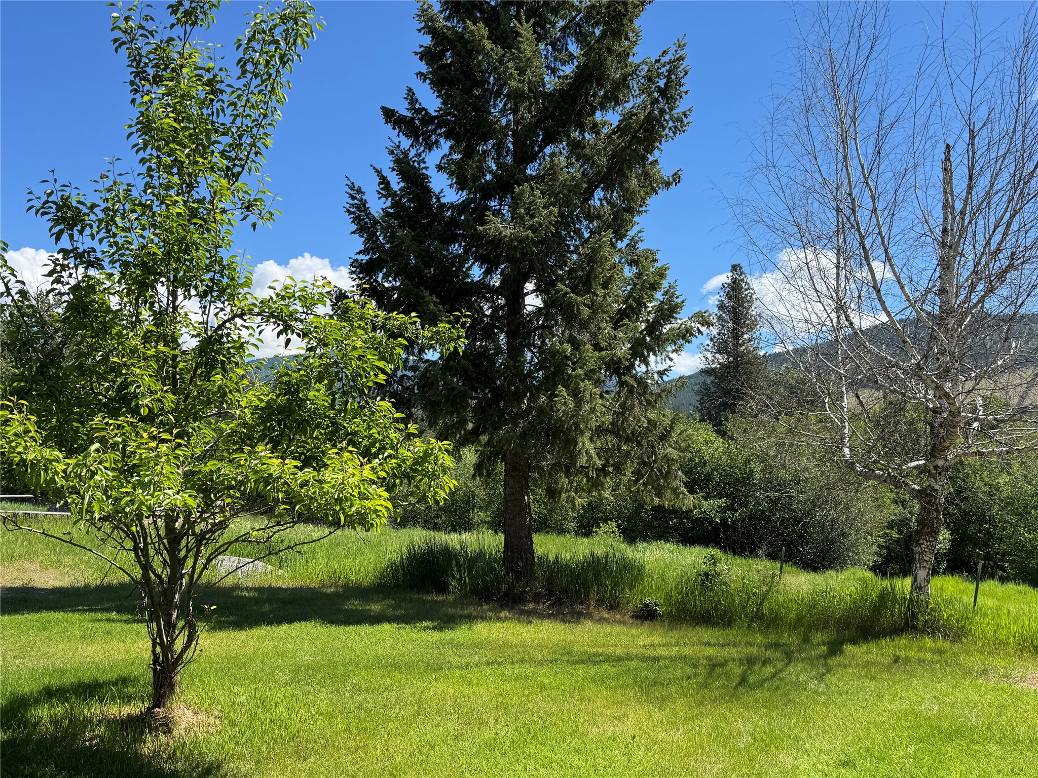 34 Baldy View Lane Property Photo 14
