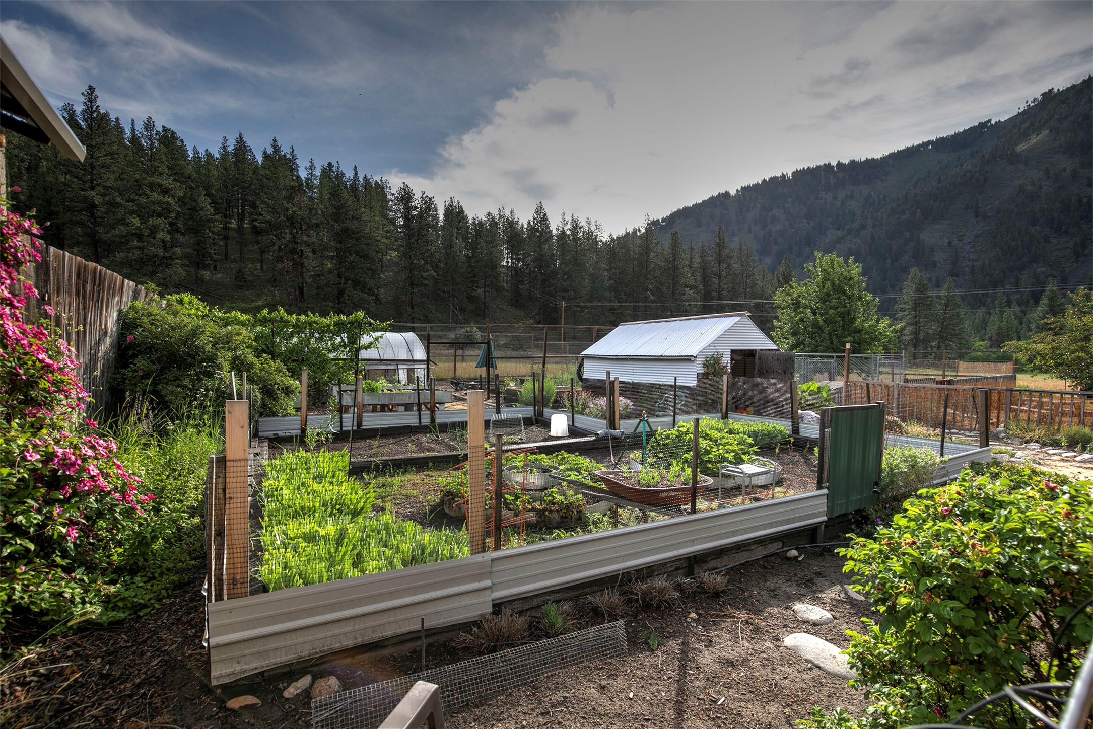 158 Trapper Creek Road Property Photo 45