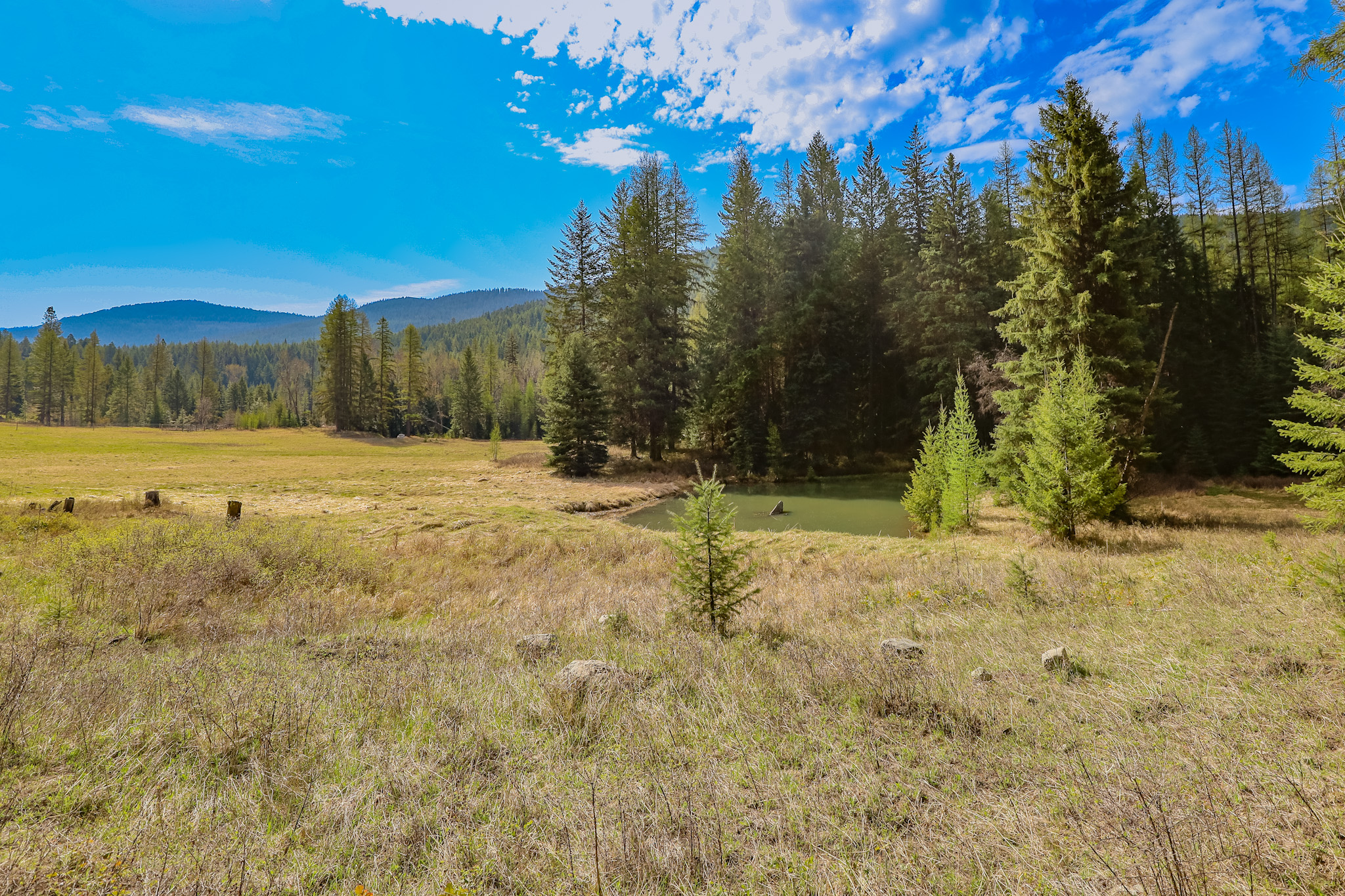 Nhn Warland Creek Road Property Photo 2