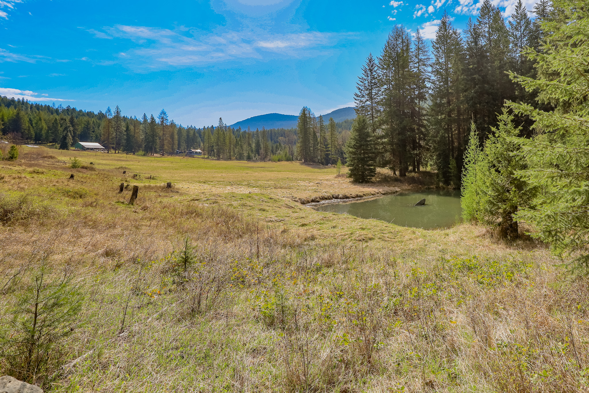 Nhn Warland Creek Road Property Photo 3
