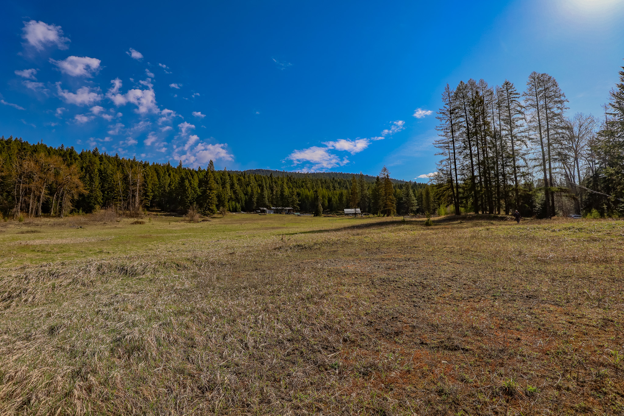 Nhn Warland Creek Road Property Photo 4