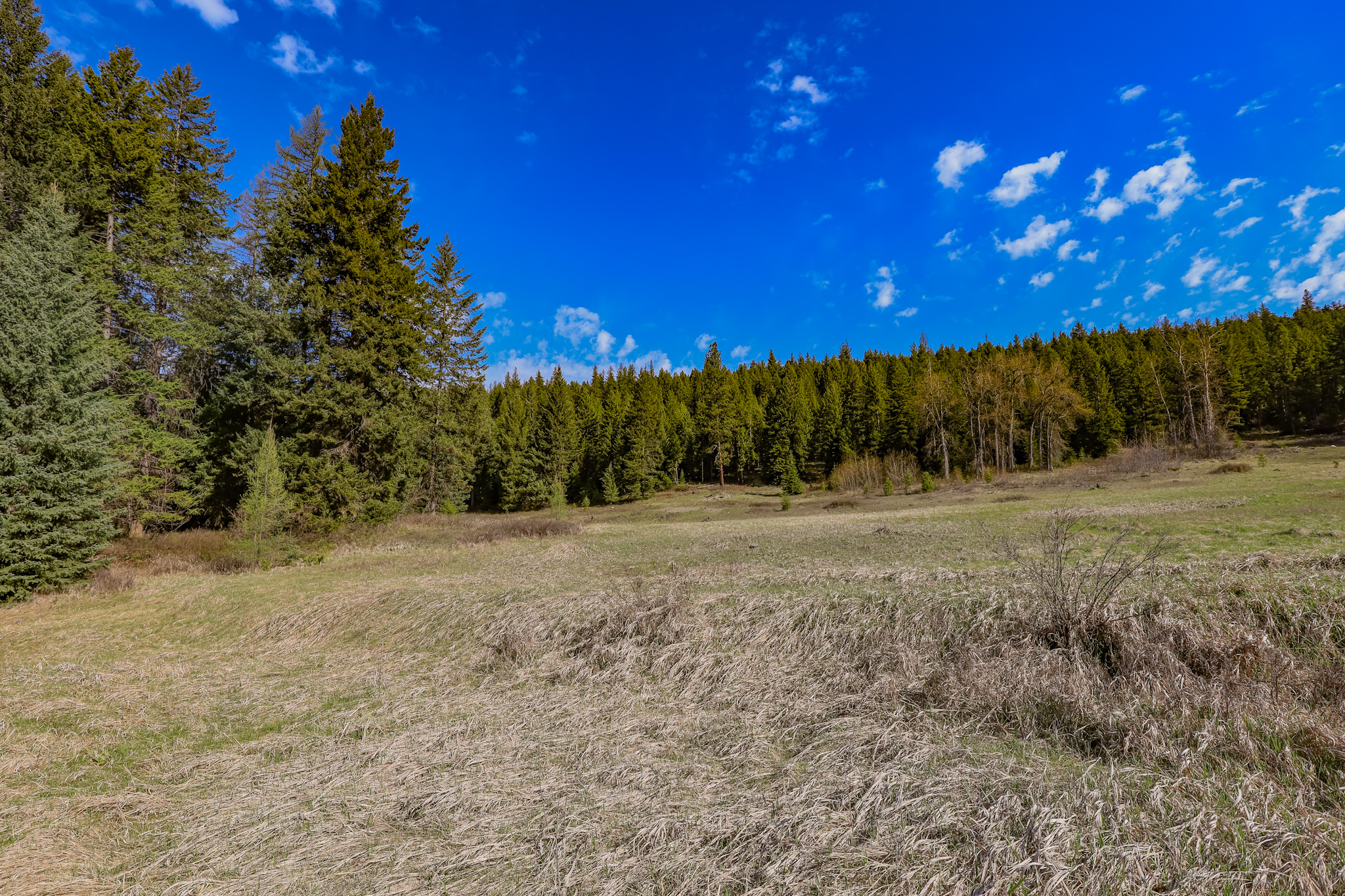 Nhn Warland Creek Road Property Photo 5