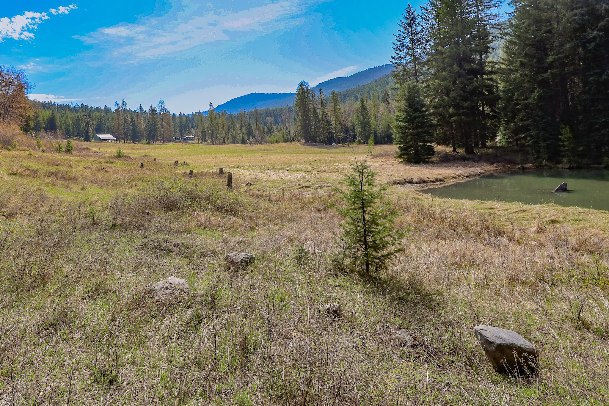 Nhn Warland Creek Road Property Photo 6