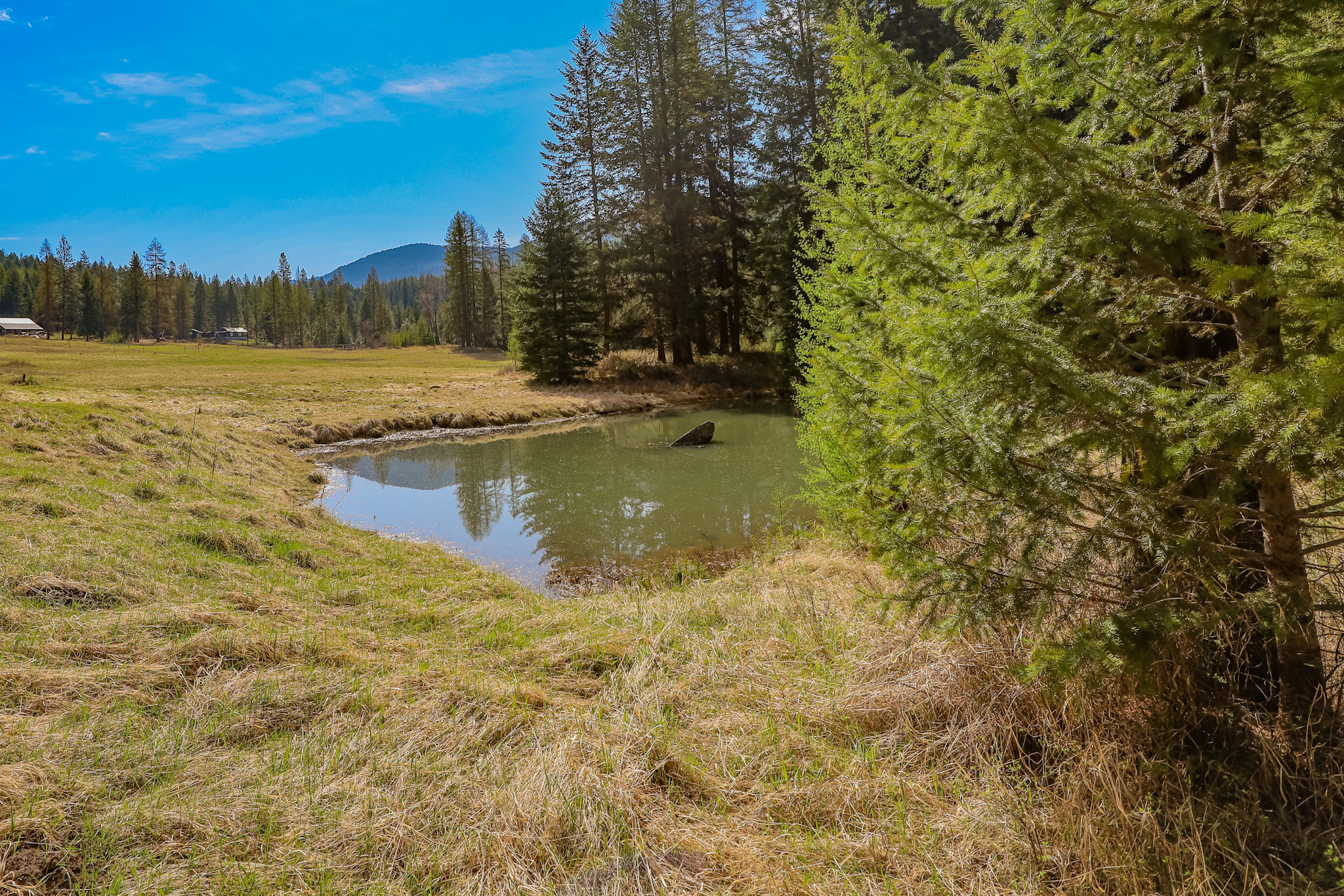 Nhn Warland Creek Road Property Photo 7