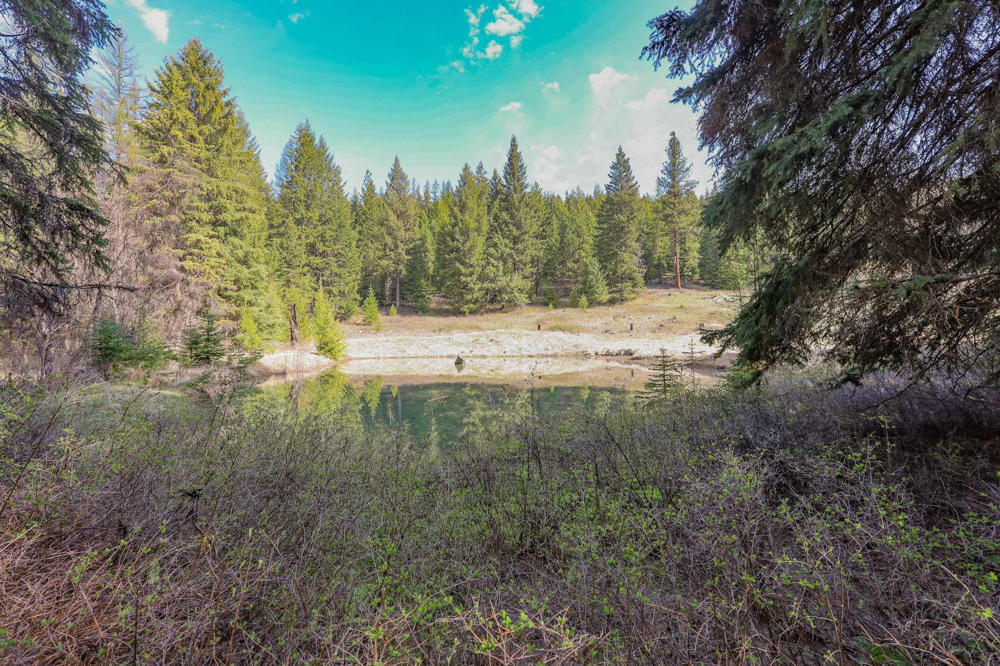 Nhn Warland Creek Road Property Photo 8
