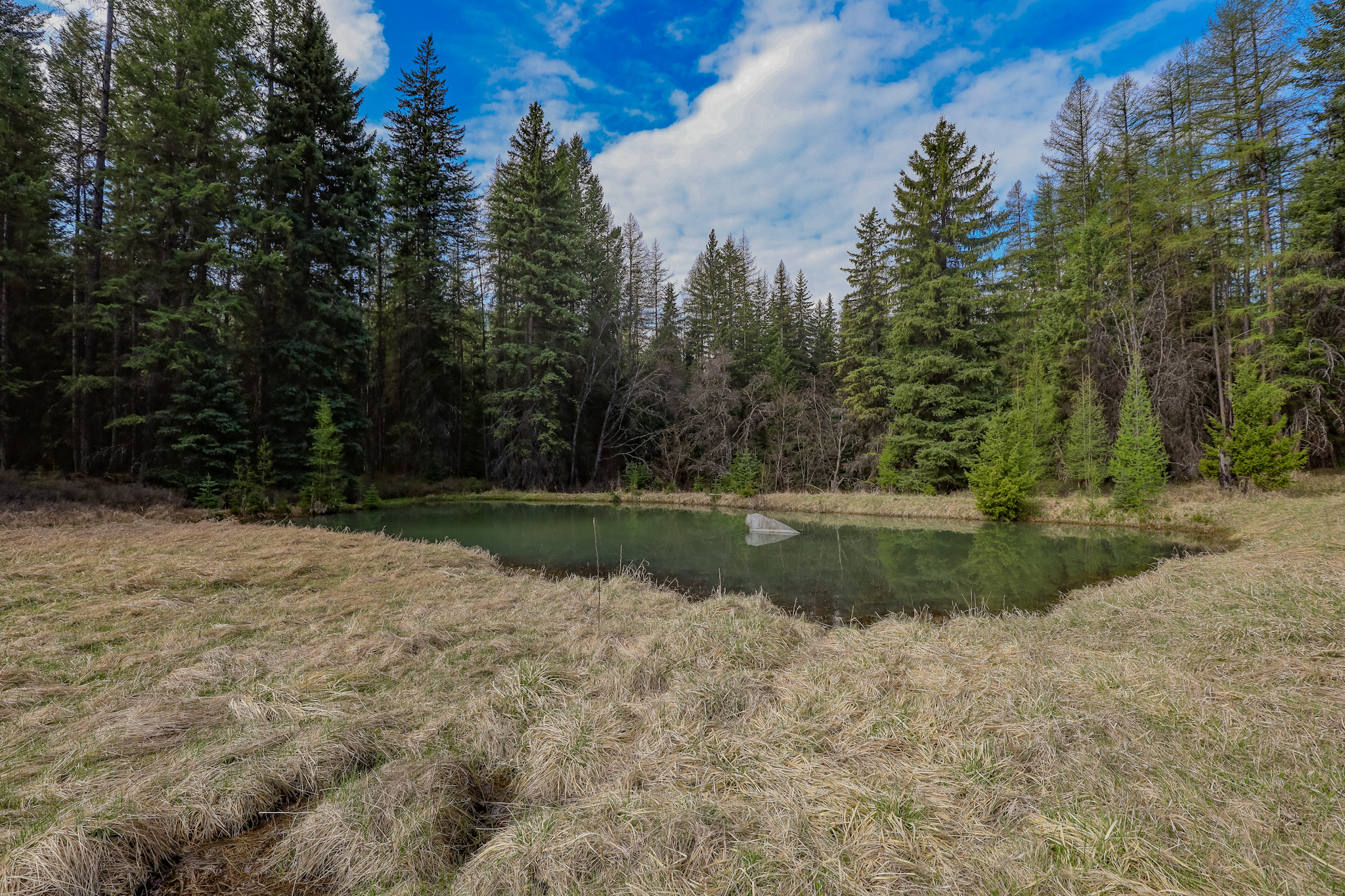 Nhn Warland Creek Road Property Photo 9