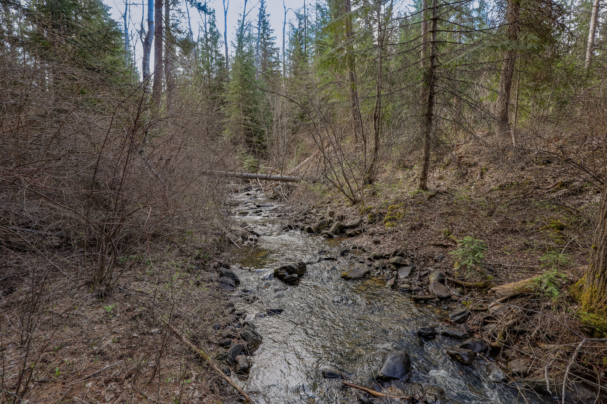 Nhn Warland Creek Road Property Photo 10