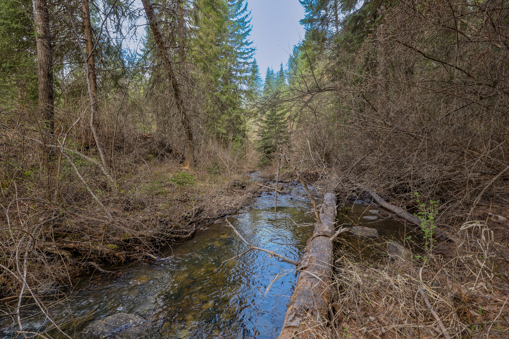 Nhn Warland Creek Road Property Photo 11