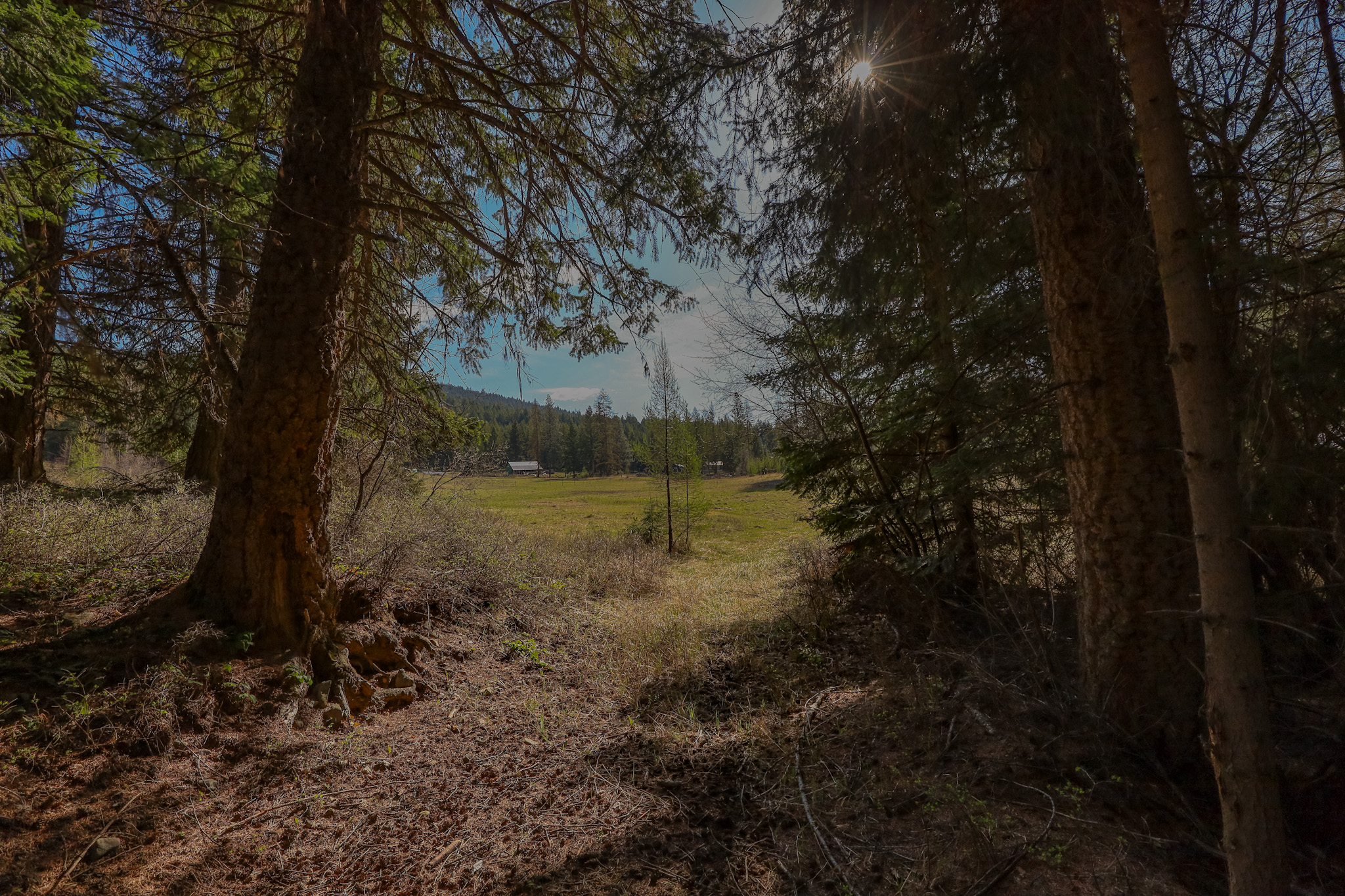 Nhn Warland Creek Road Property Photo 14