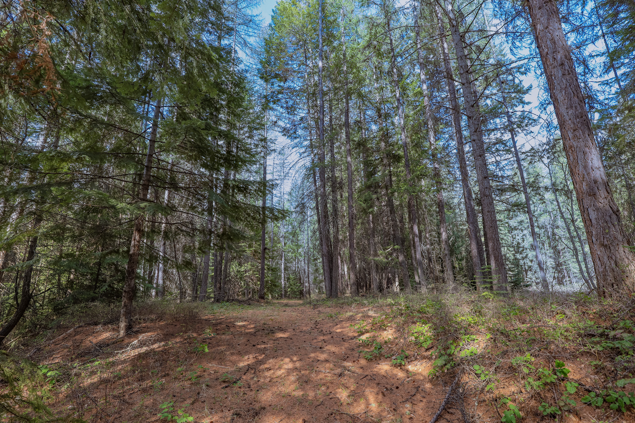 Nhn Warland Creek Road Property Photo 15