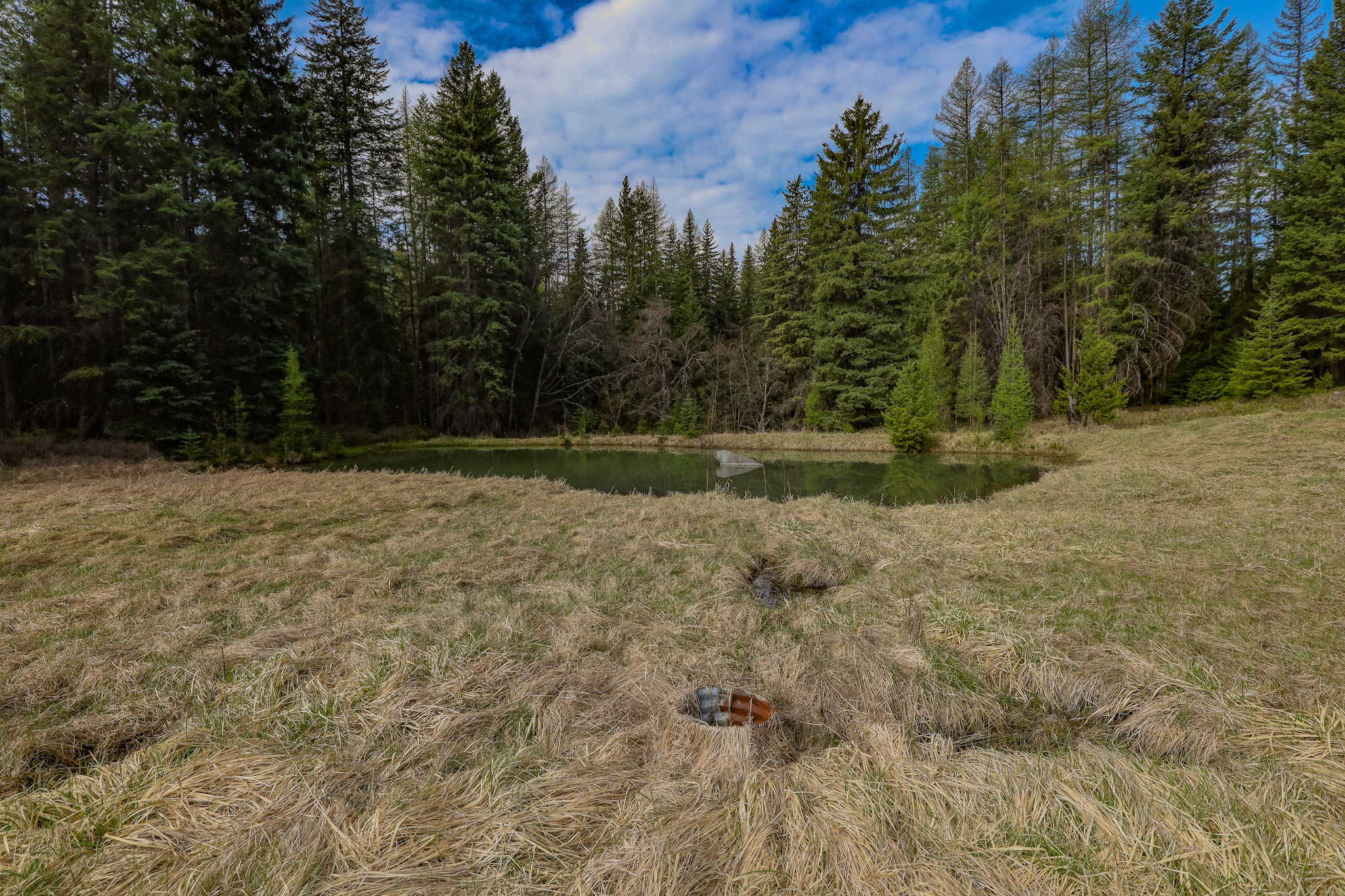 Nhn Warland Creek Road Property Photo 17