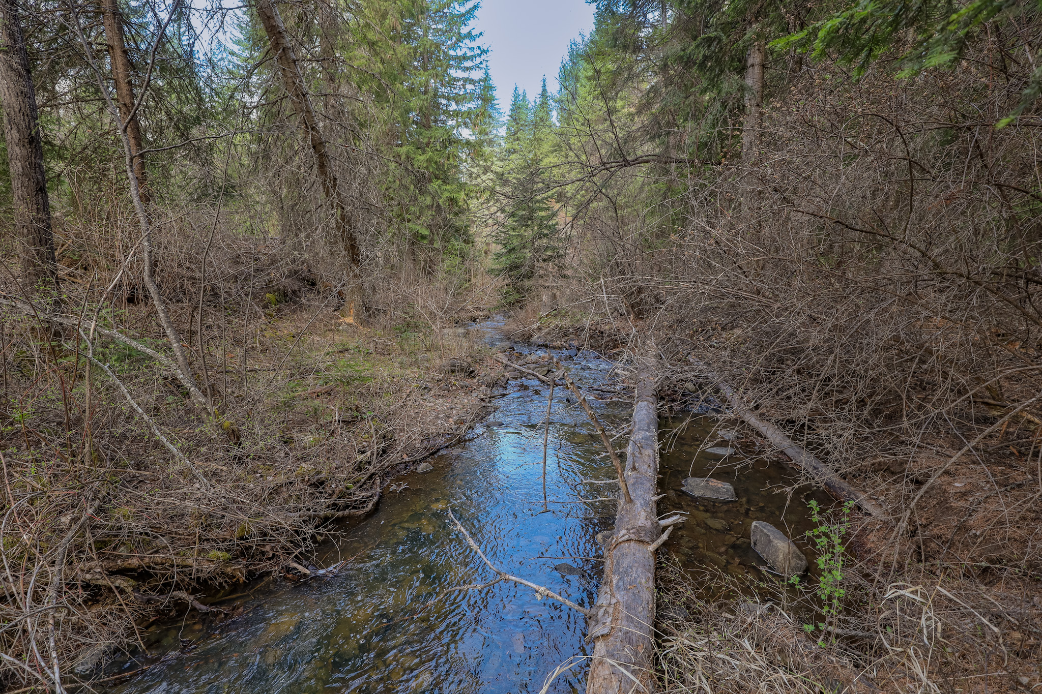 Nhn Warland Creek Road Property Photo 21
