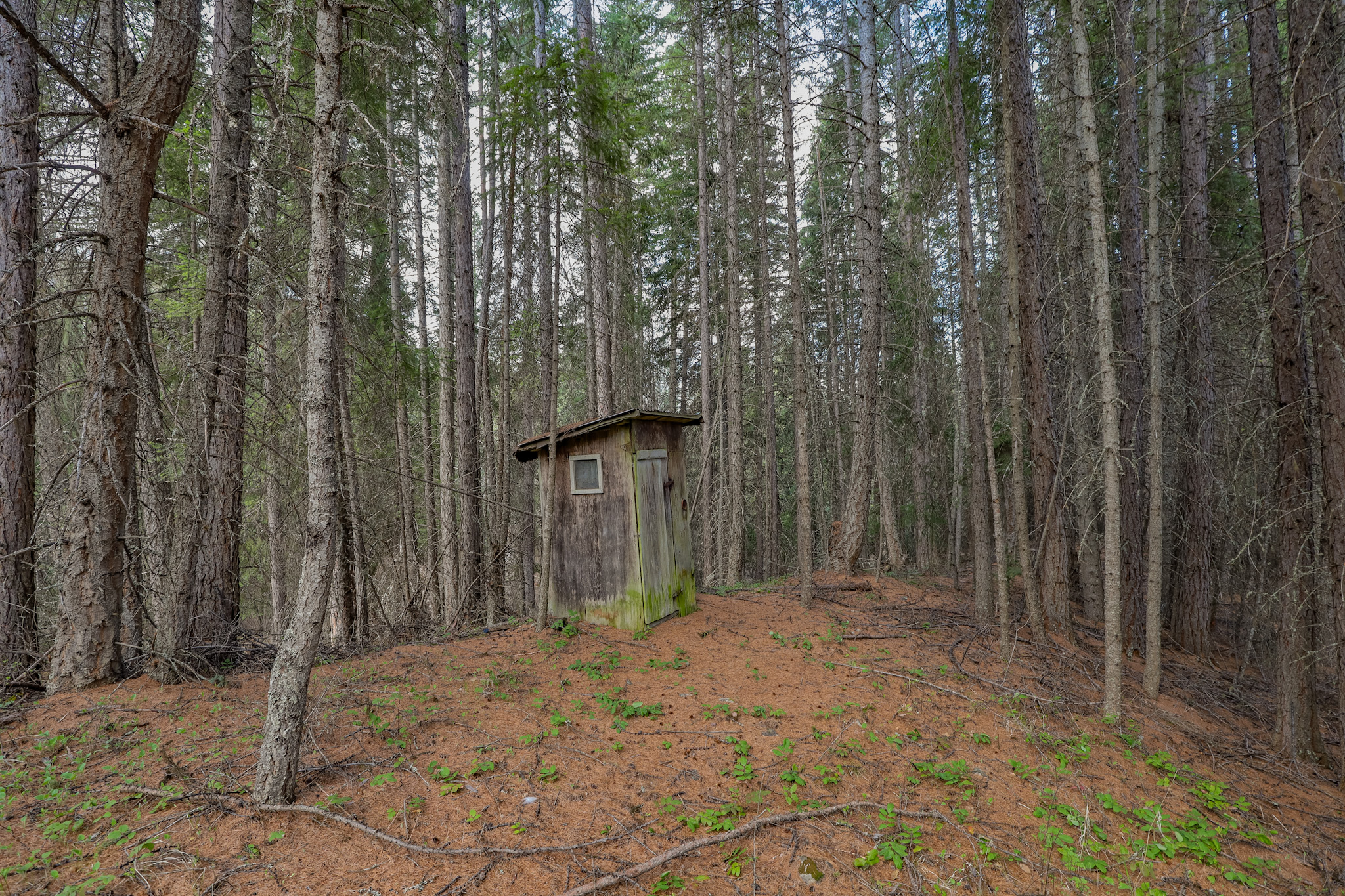 Nhn Warland Creek Road Property Photo 23